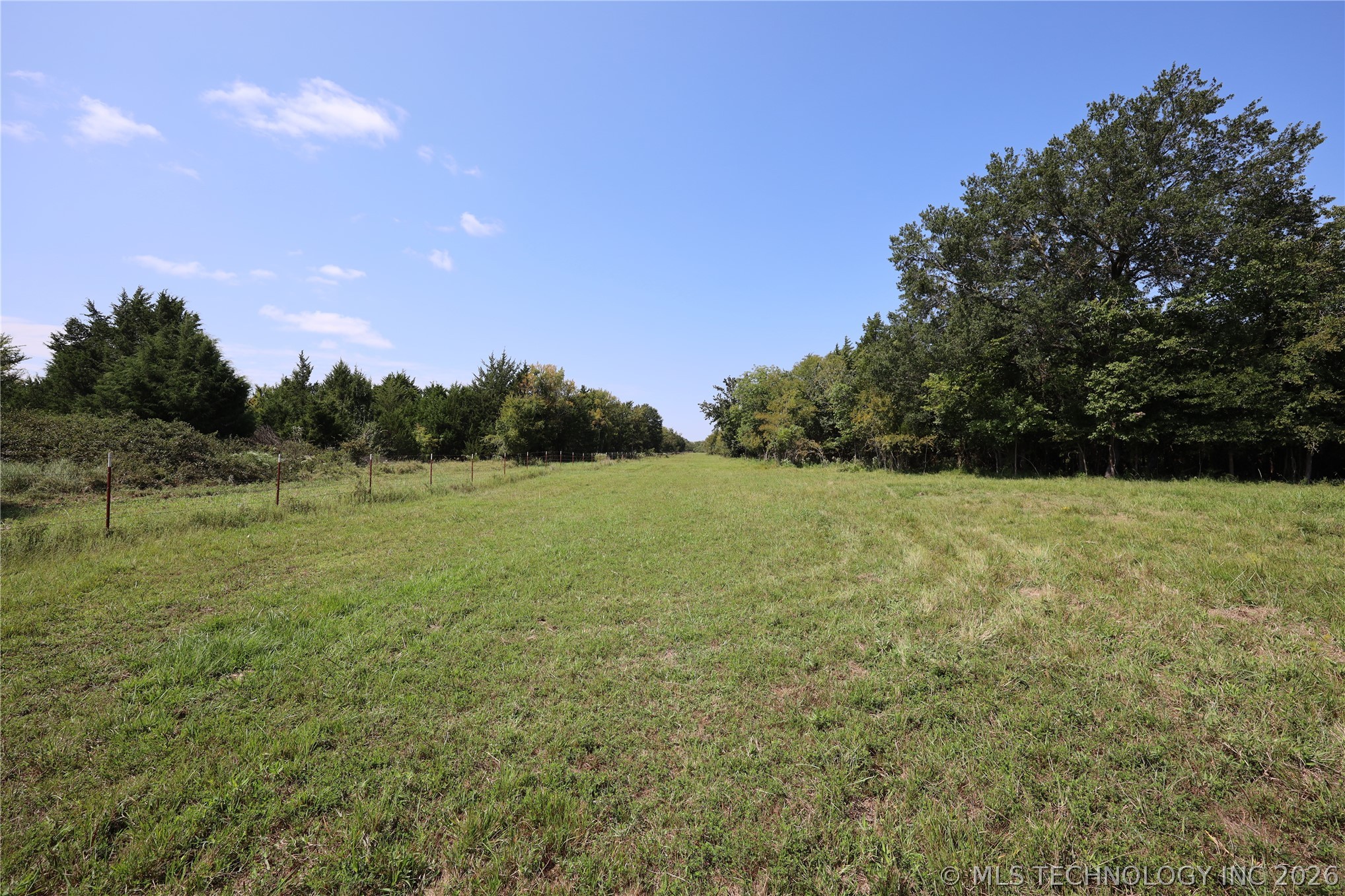195 Cardell Property Photo 59