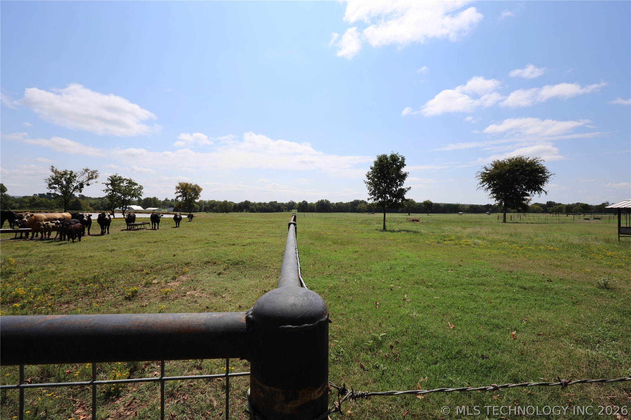 195 Cardell Property Photo 65