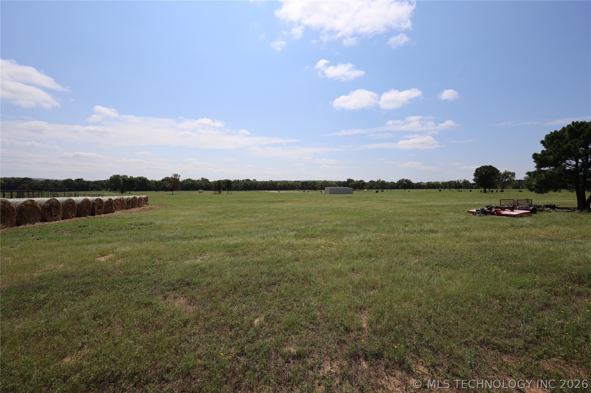 195 Cardell Property Photo 68