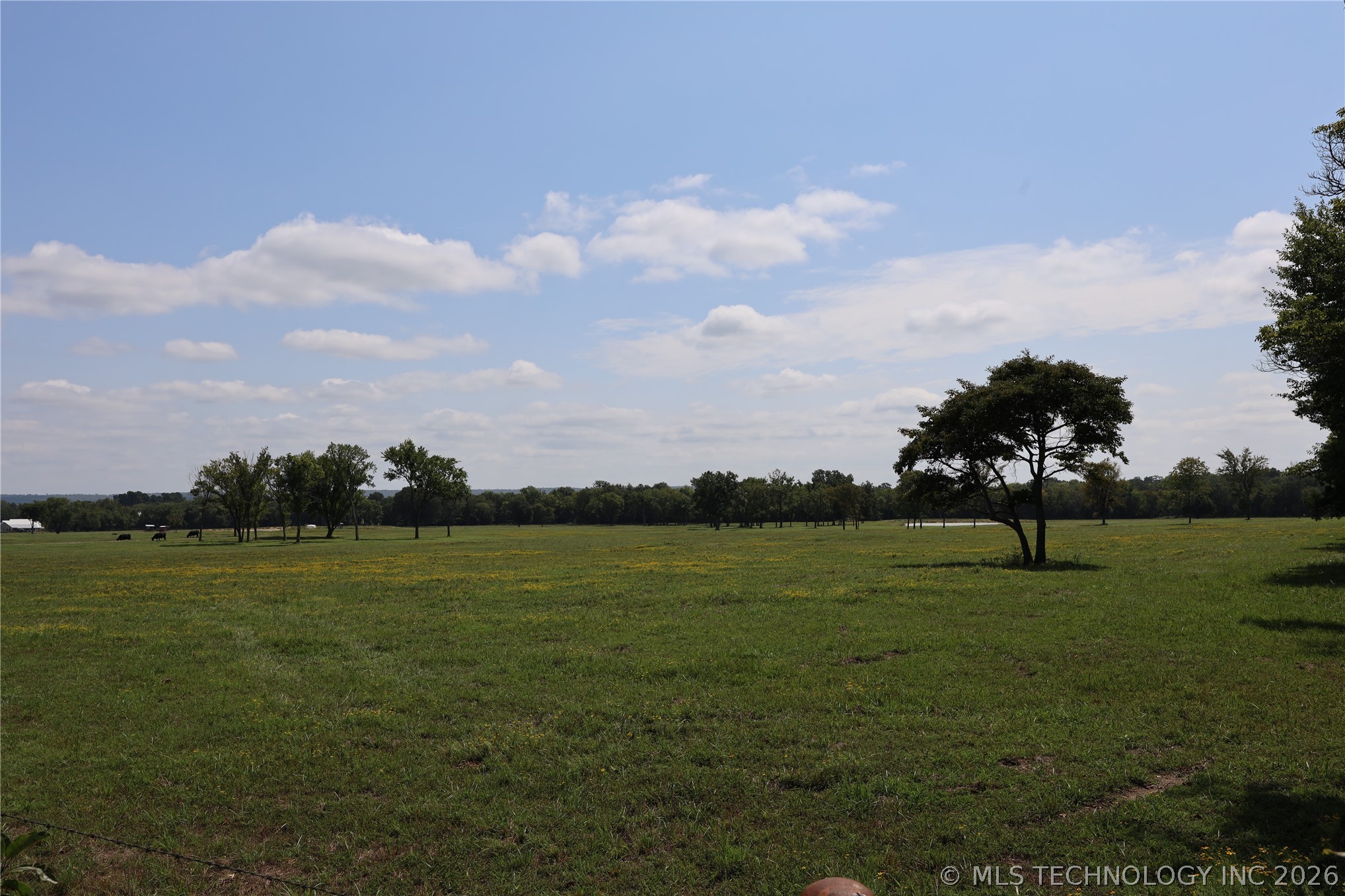 195 Cardell Property Photo 71