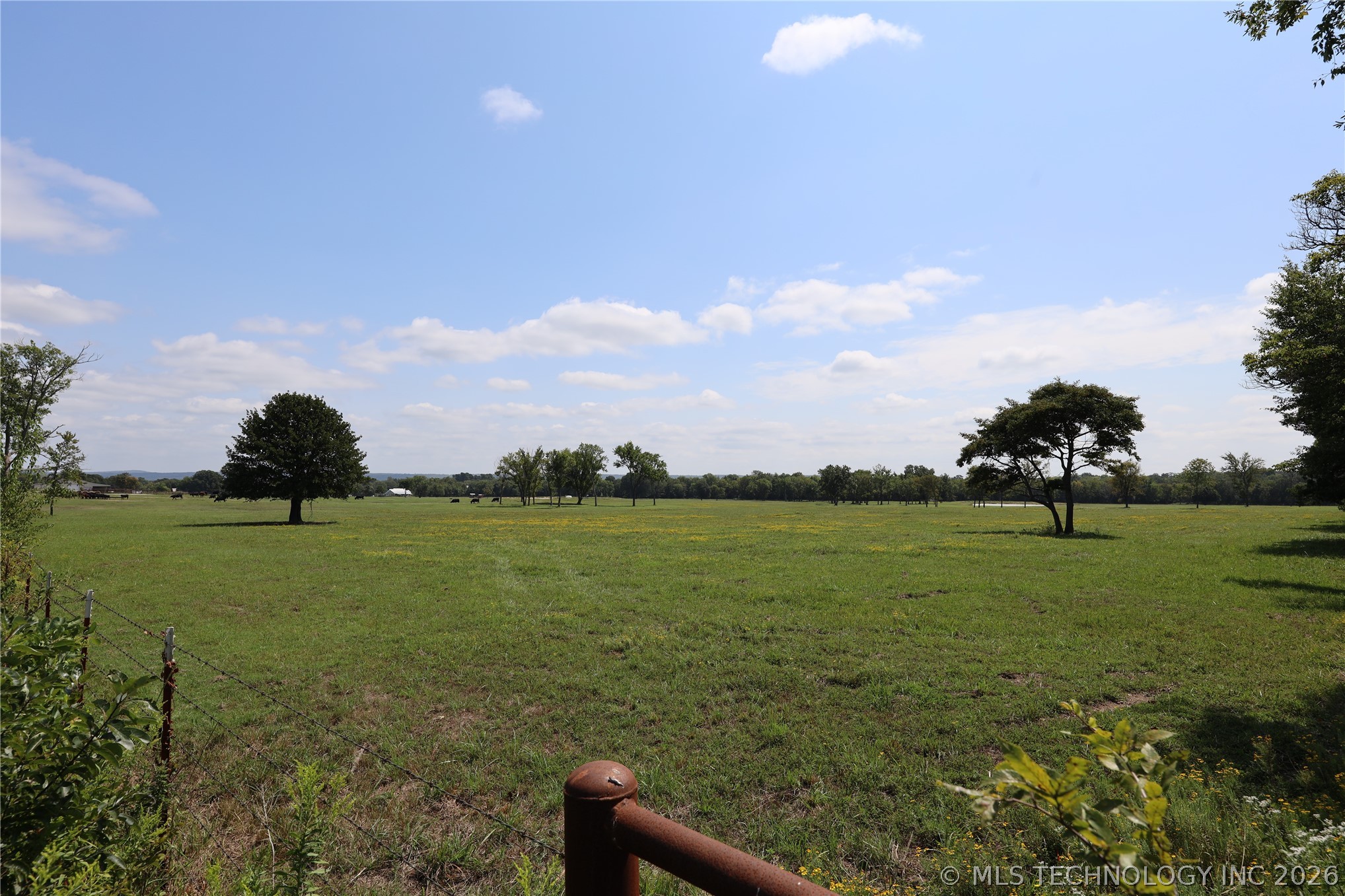 195 Cardell Property Photo 72
