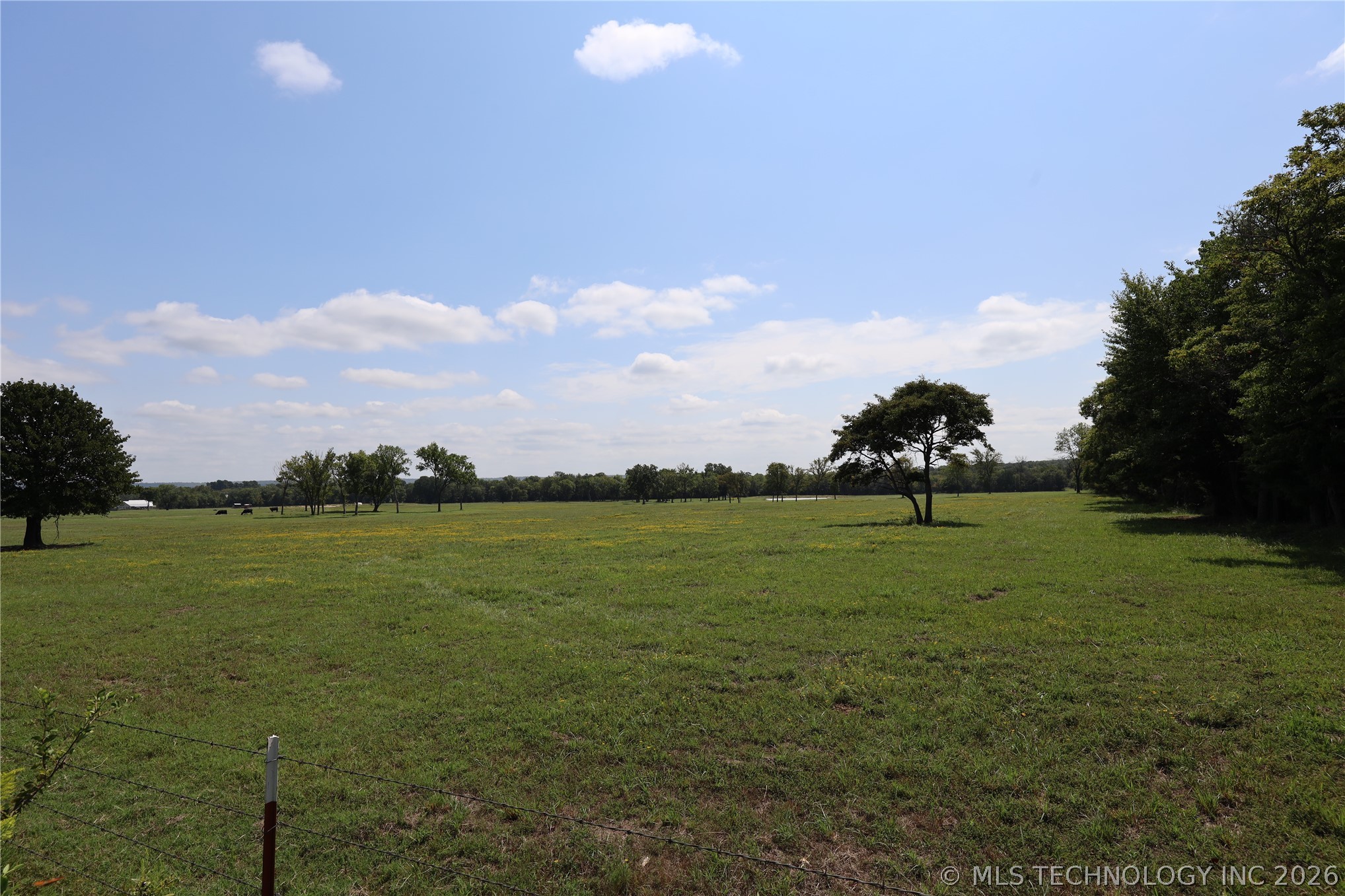 195 Cardell Property Photo 73