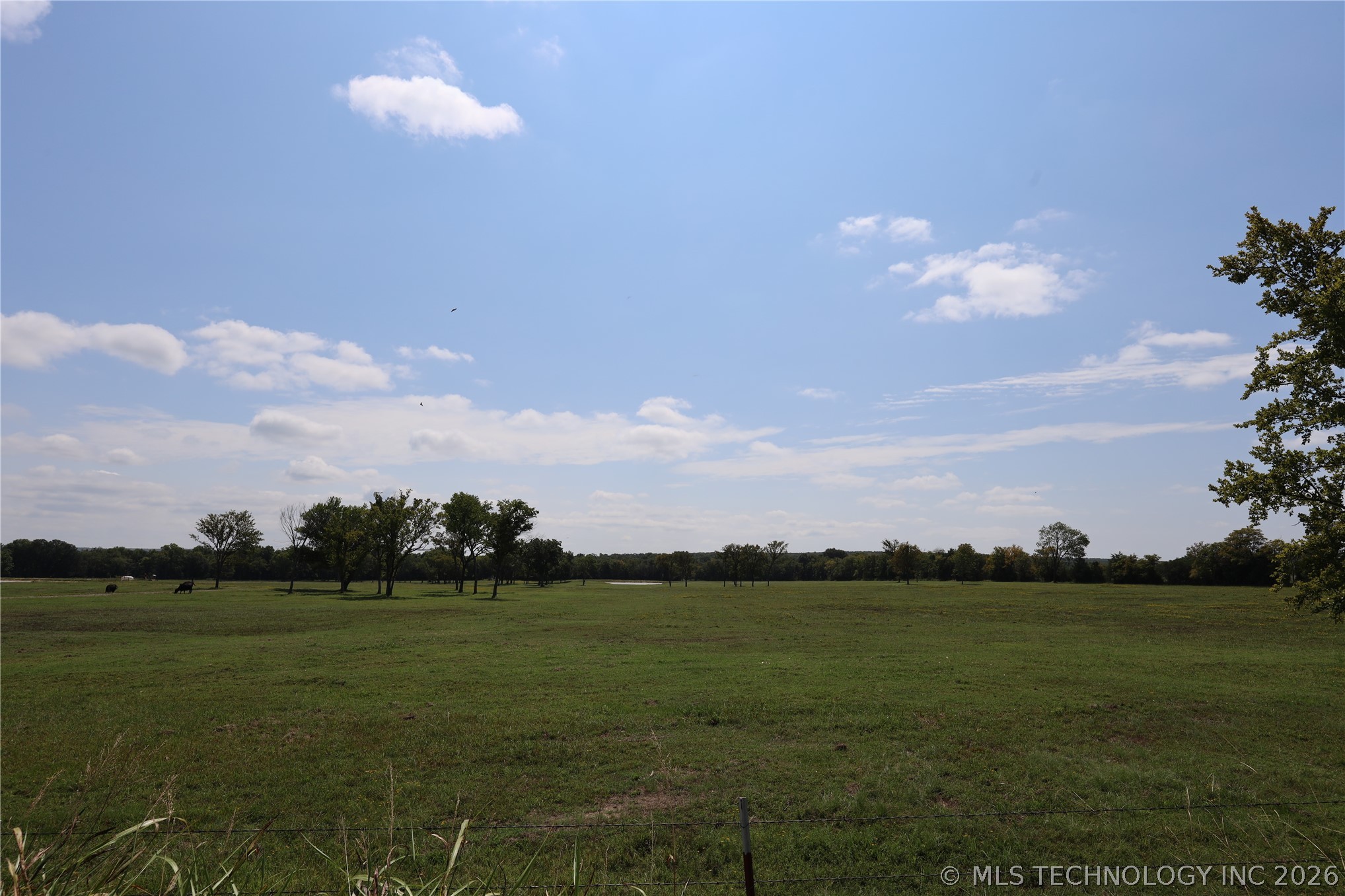 195 Cardell Property Photo 74