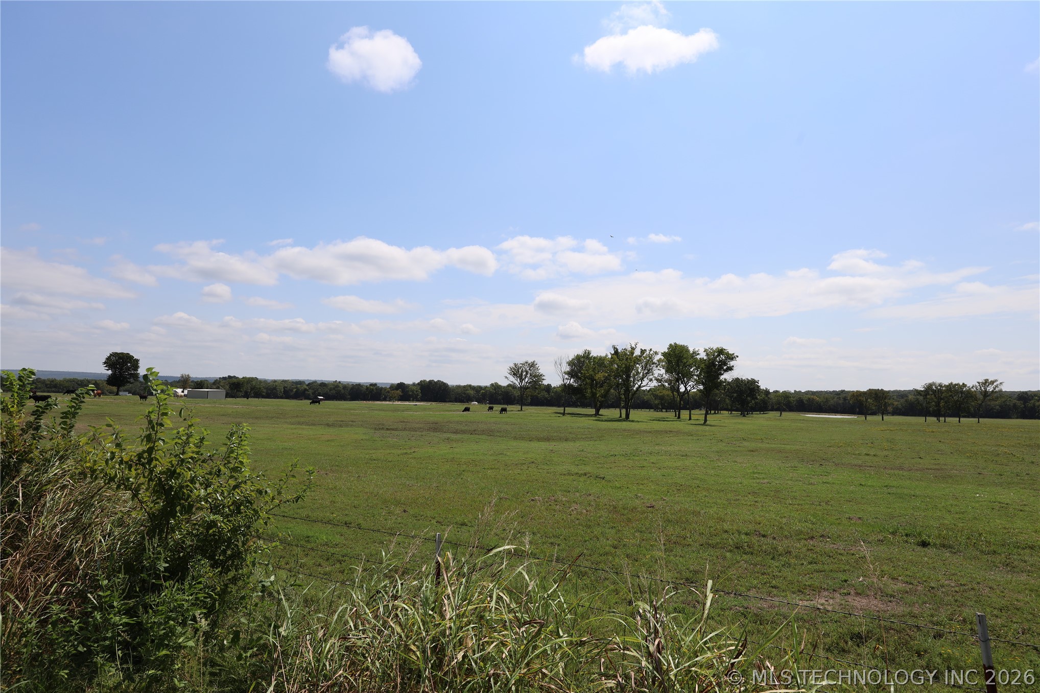 195 Cardell Property Photo 75