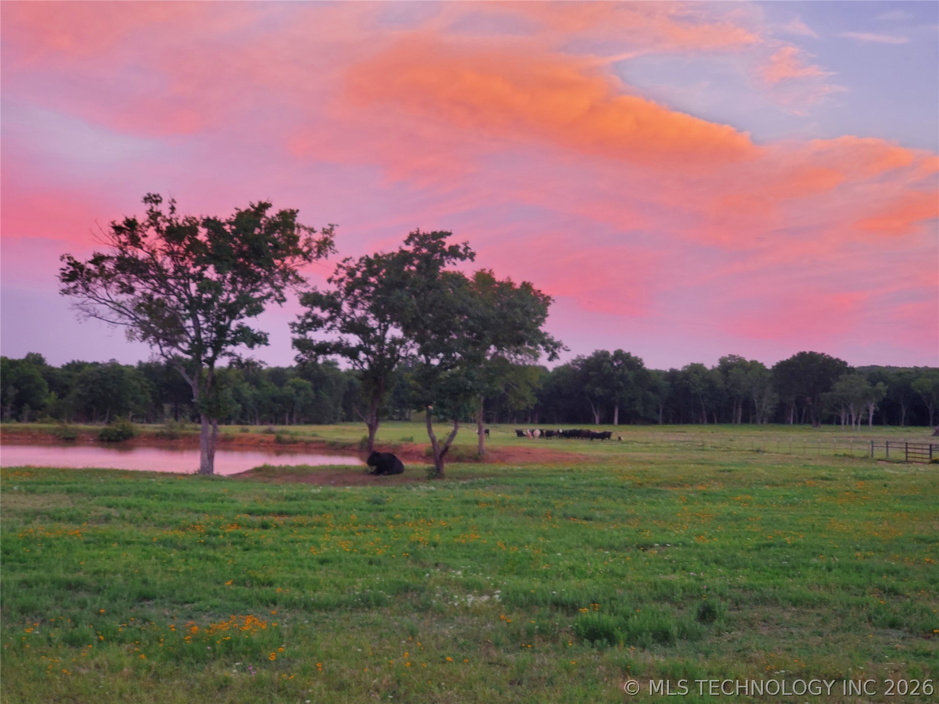 195 Cardell Property Photo 78