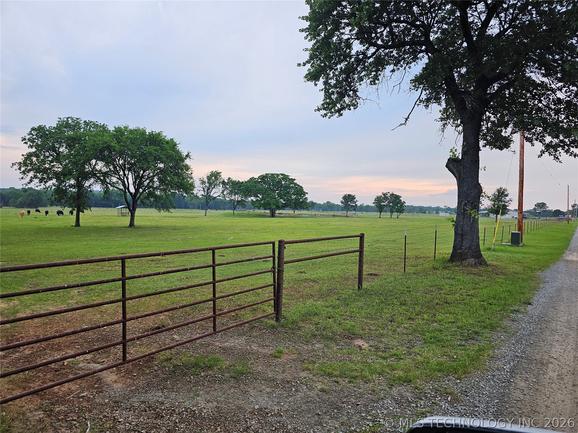 195 Cardell Property Photo 80