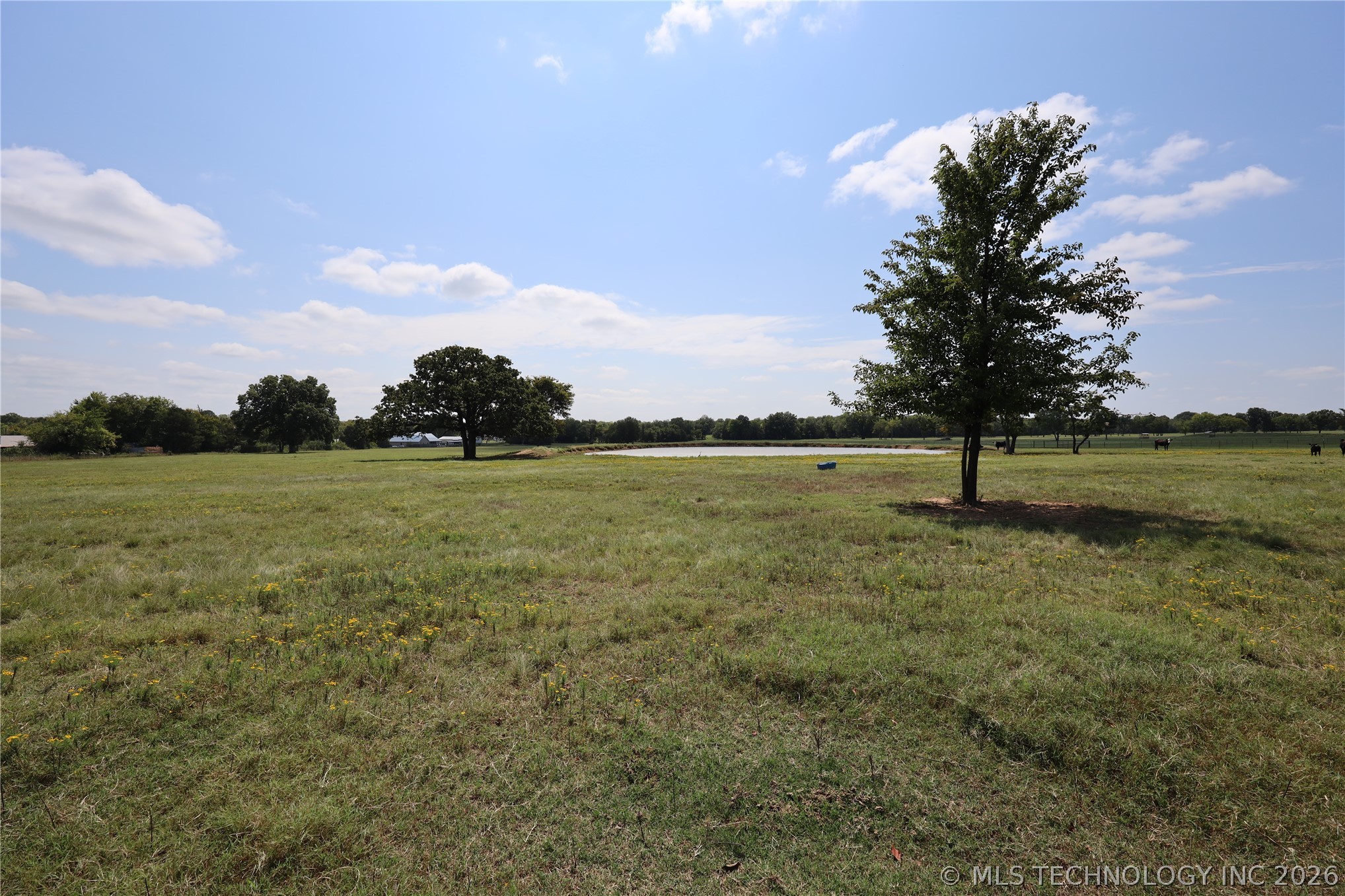 1 Cardell Way Property Photo 38