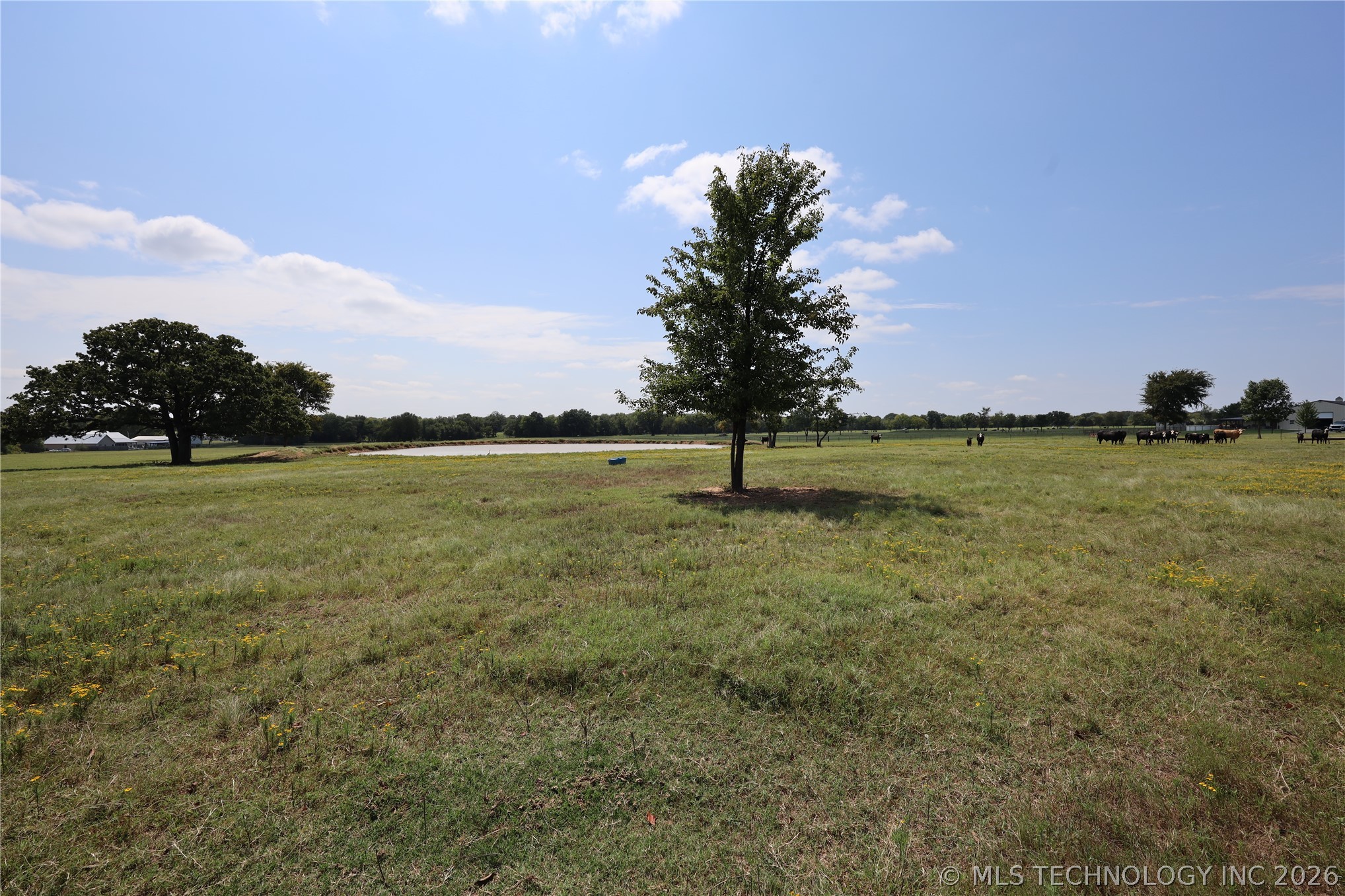1 Cardell Way Property Photo 39