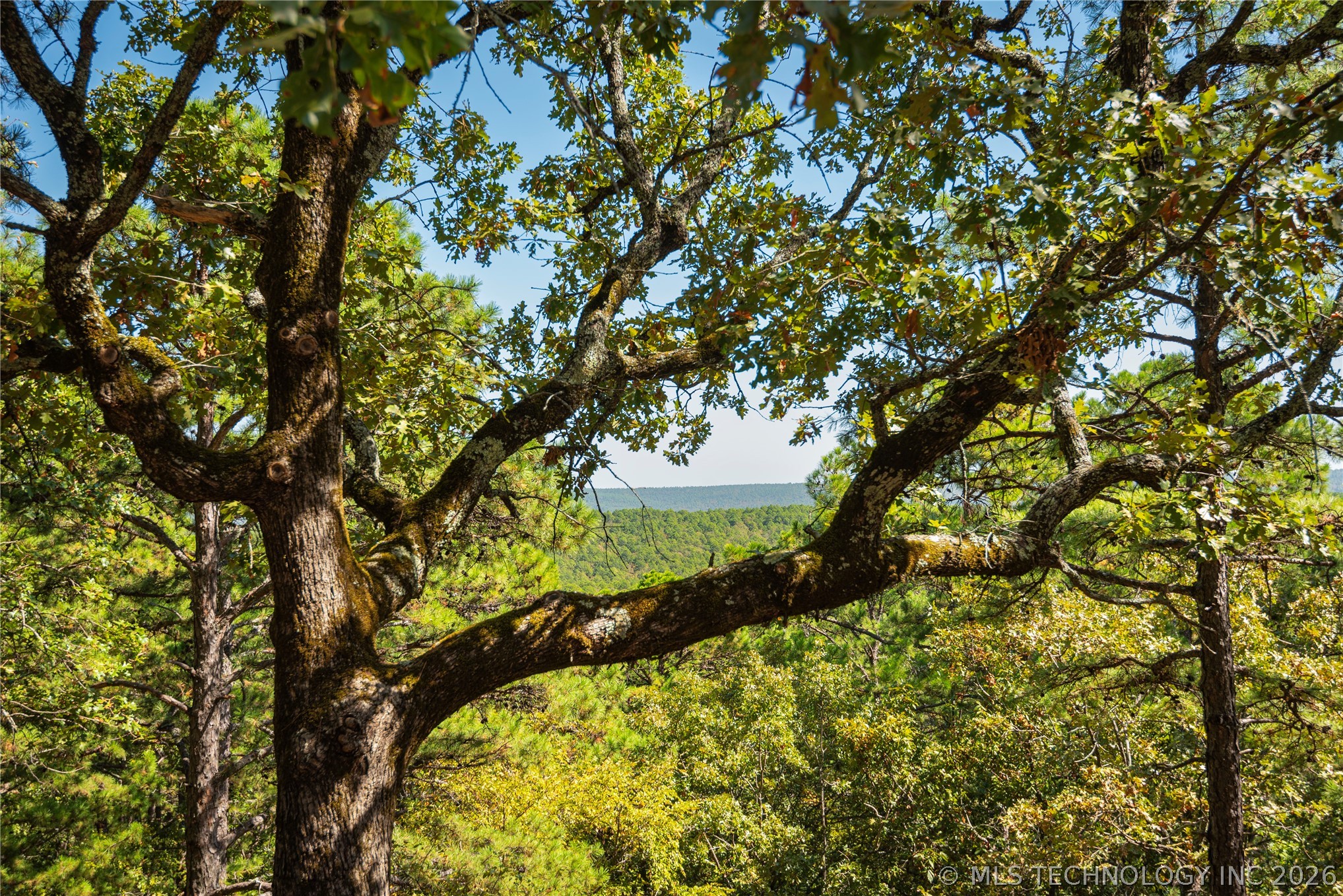 5016 Kw Property Photo 40