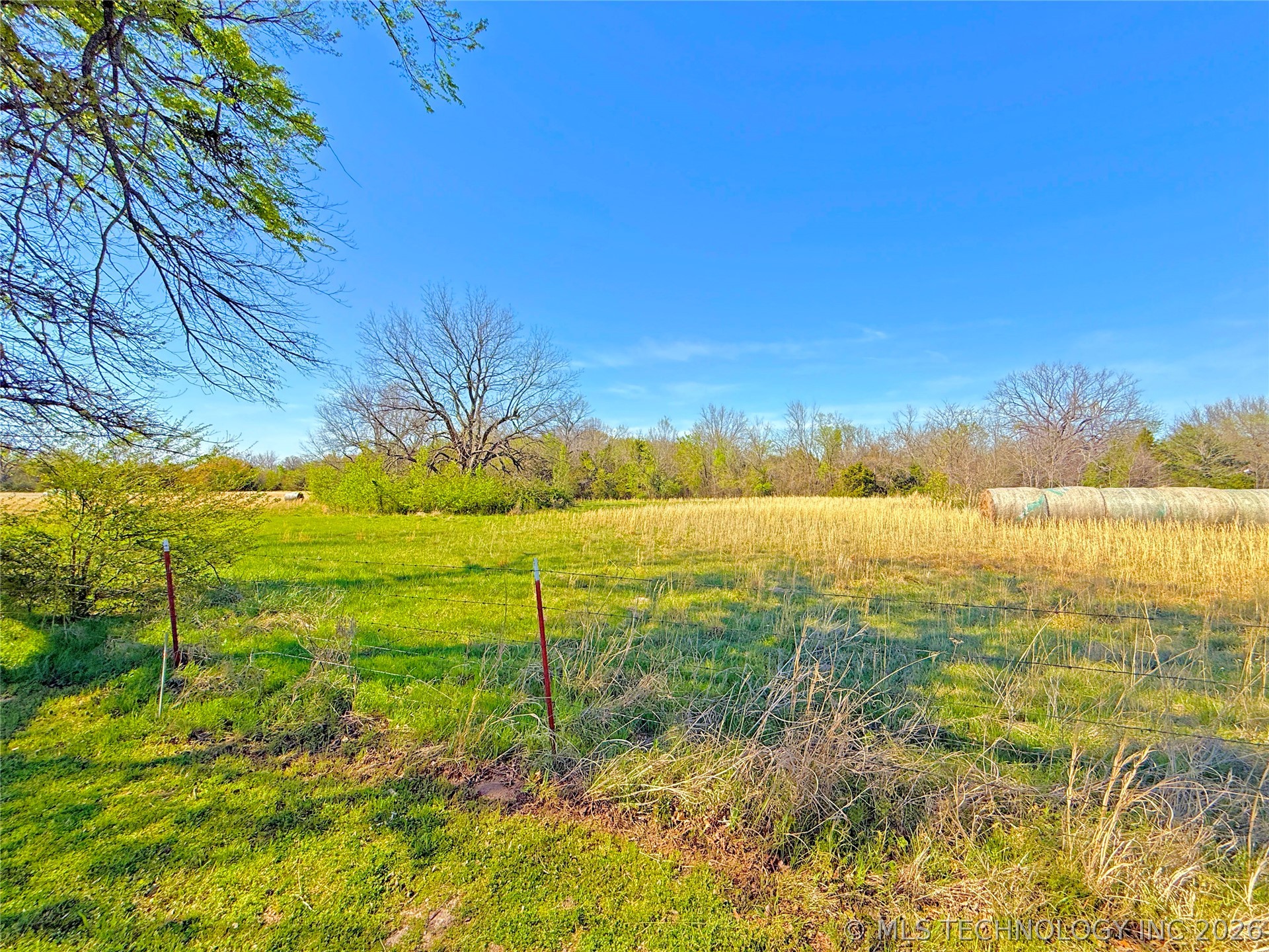 5 Buck Street Property Photo 9