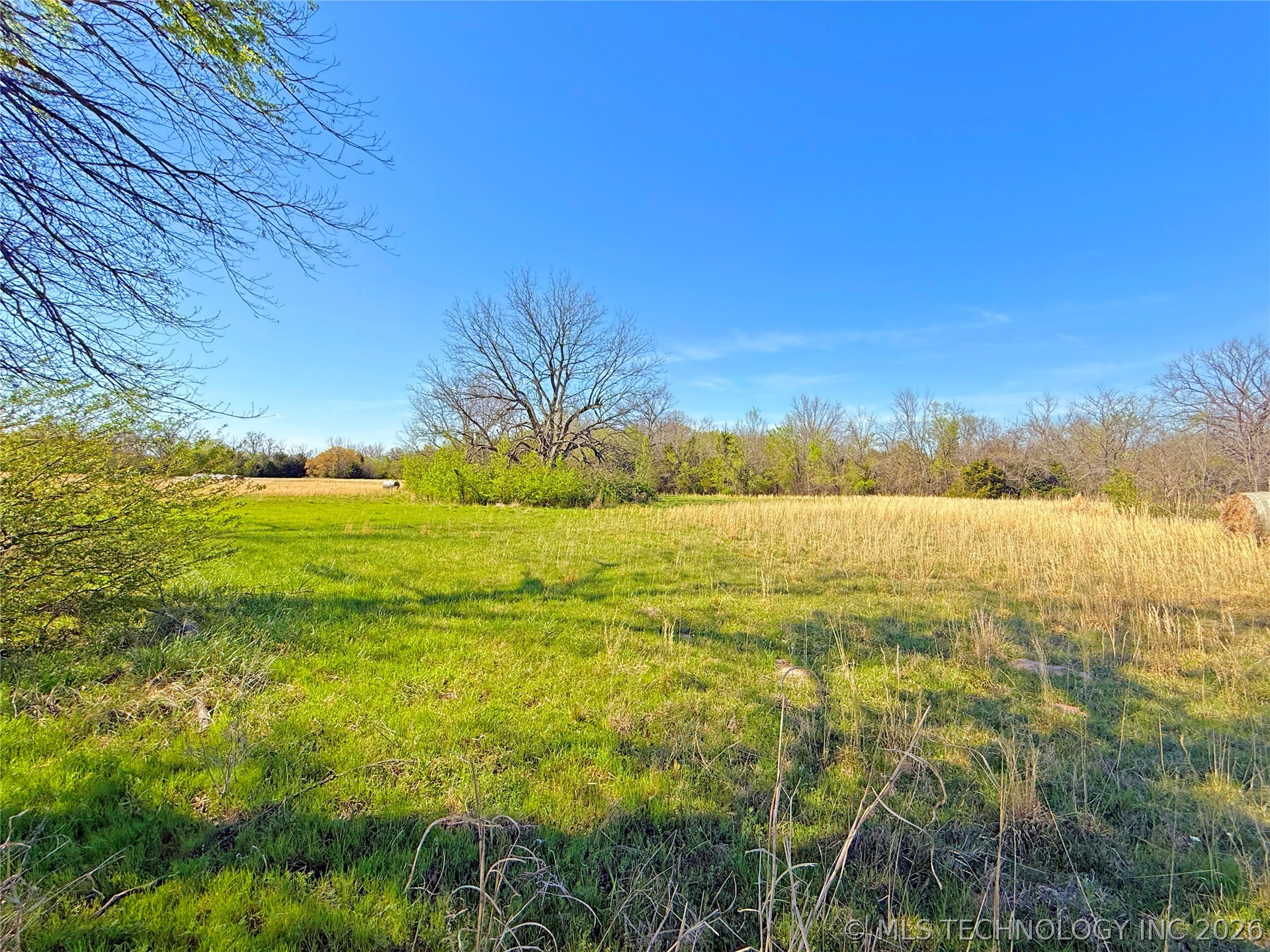 5 Buck Street Property Photo 11