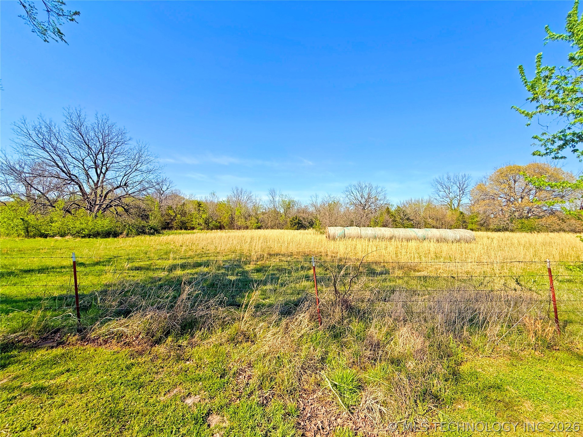 5 Buck Street Property Photo 17