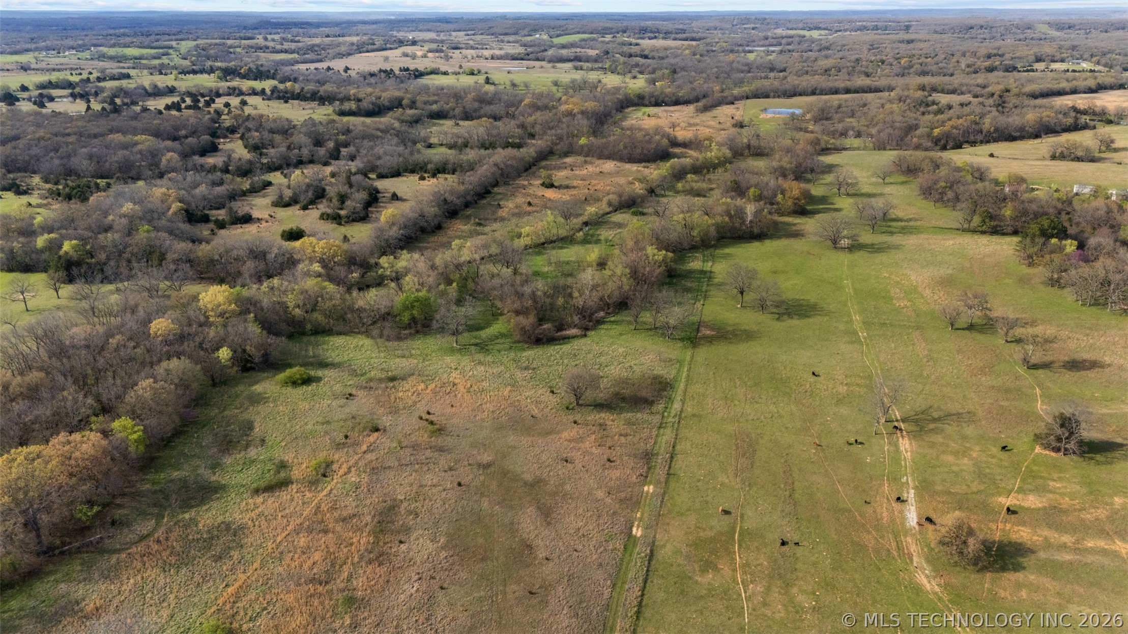 County Road 1600 Loop Property Photo 10
