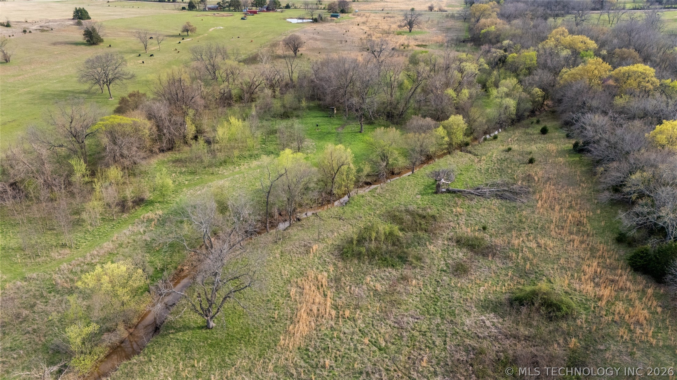 County Road 1600 Loop Property Photo 15