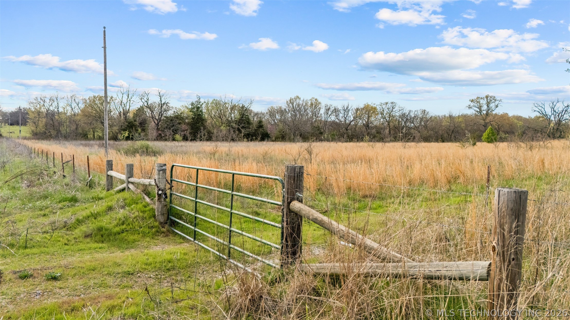 County Road 1600 Loop Property Photo 18