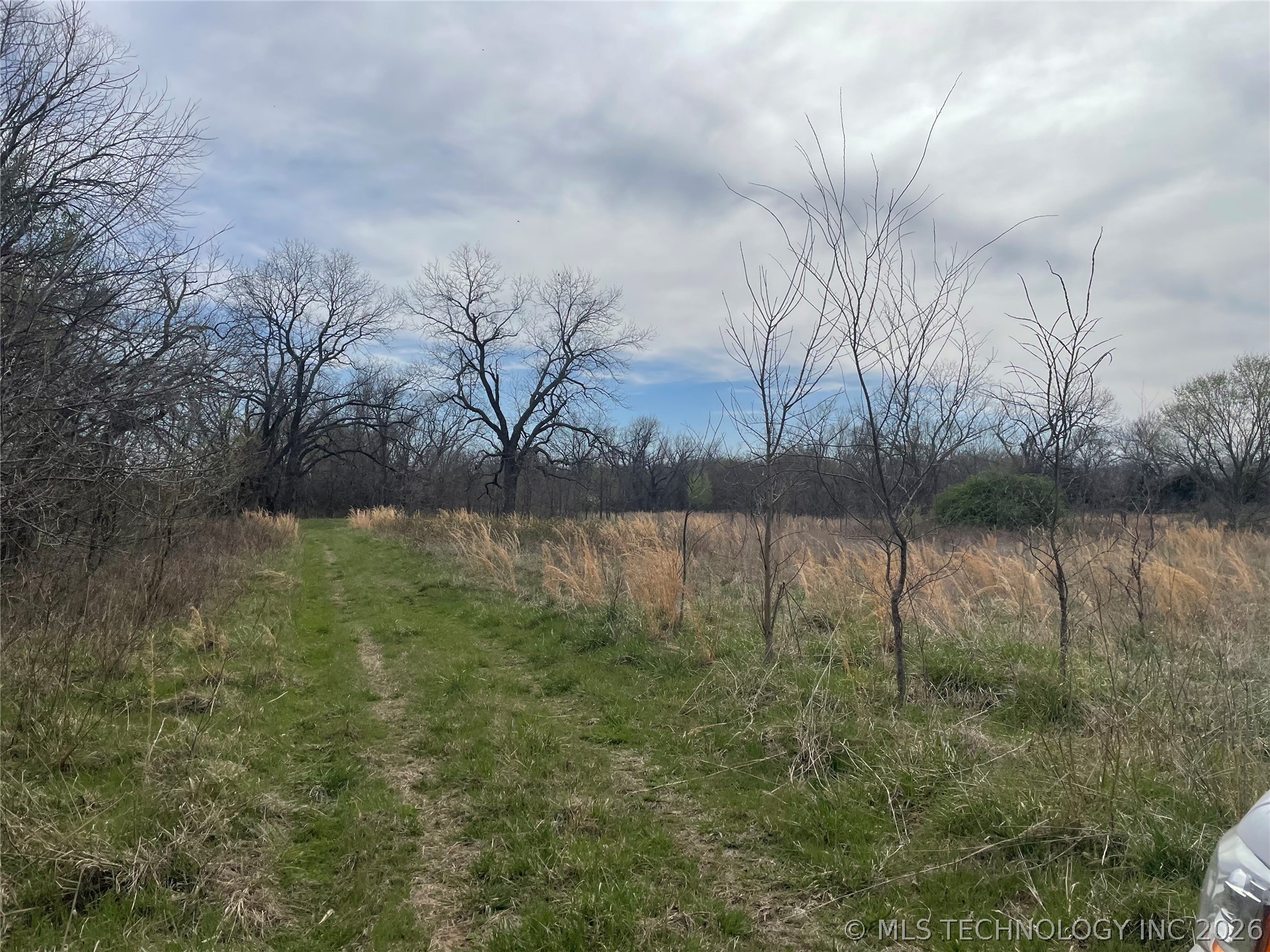 County Road 1600 Loop Property Photo 19