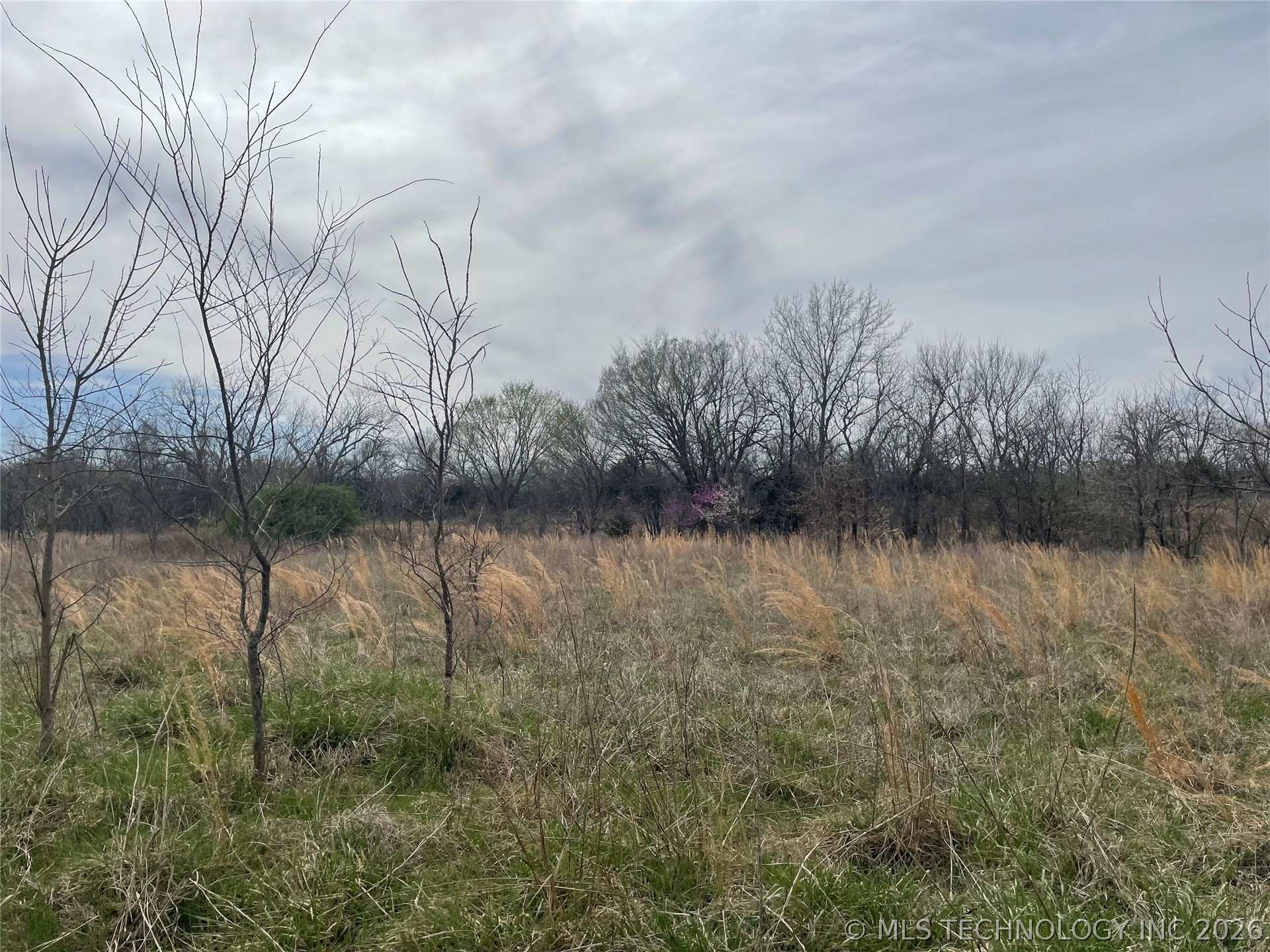 County Road 1600 Loop Property Photo 20