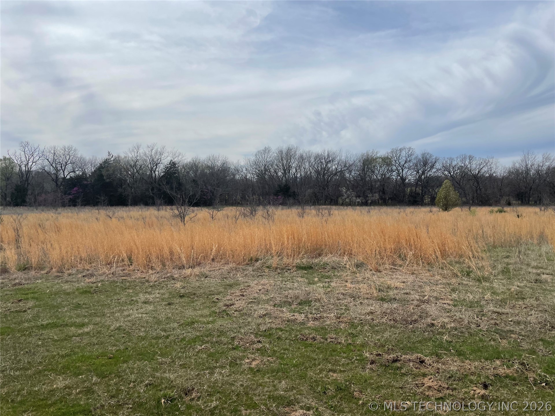 County Road 1600 Loop Property Photo 22