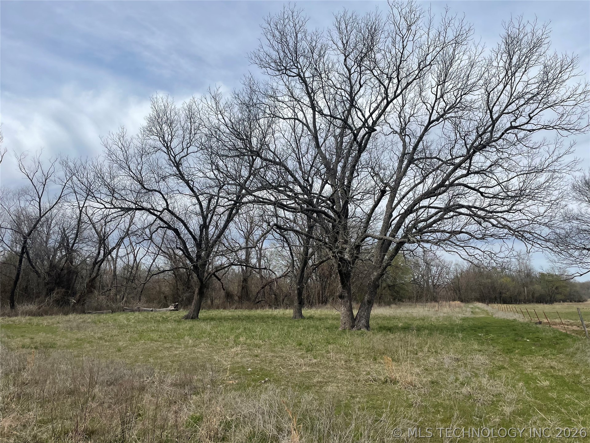 County Road 1600 Loop Property Photo 24