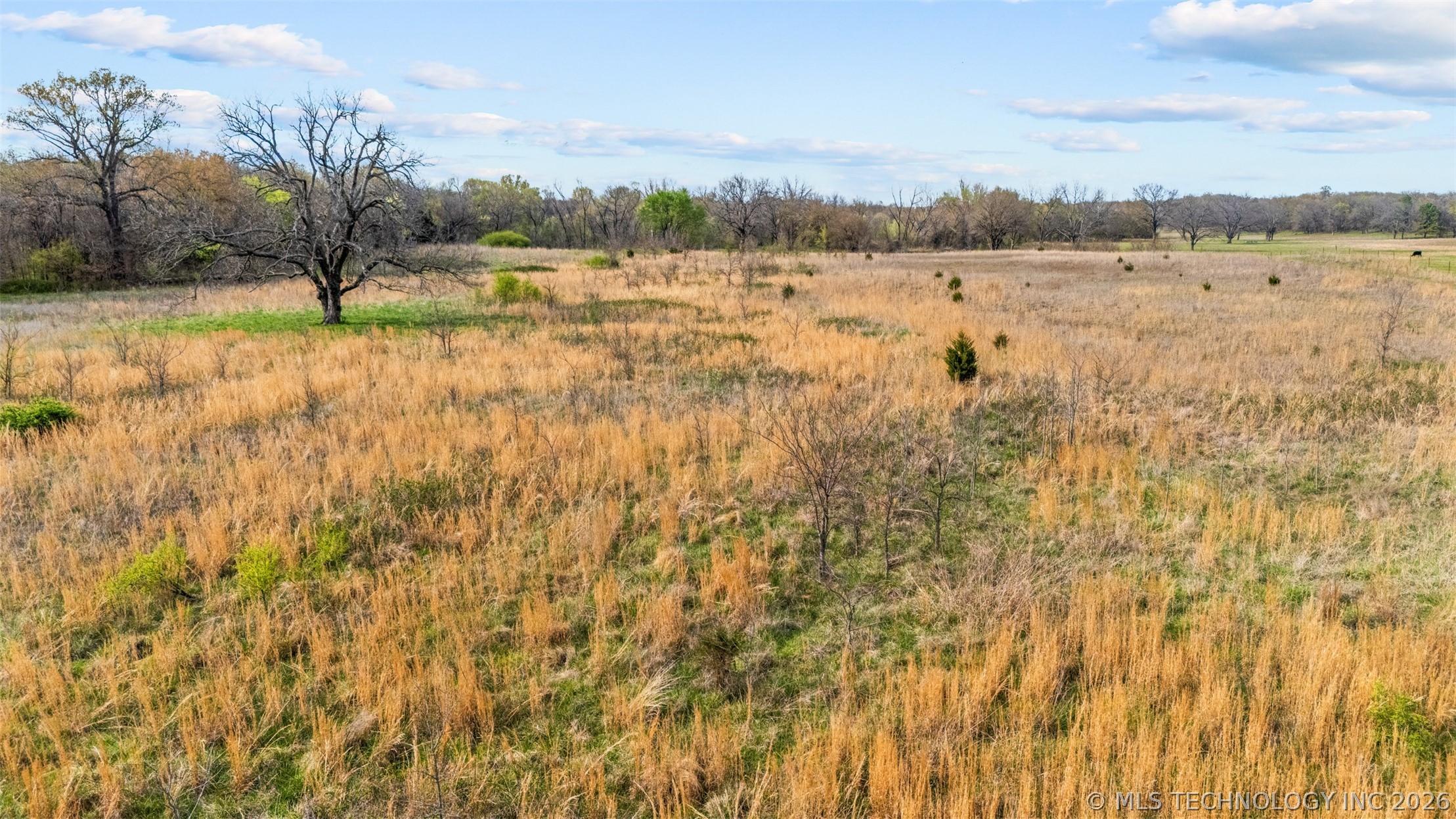County Road 1600 Loop Property Photo 28