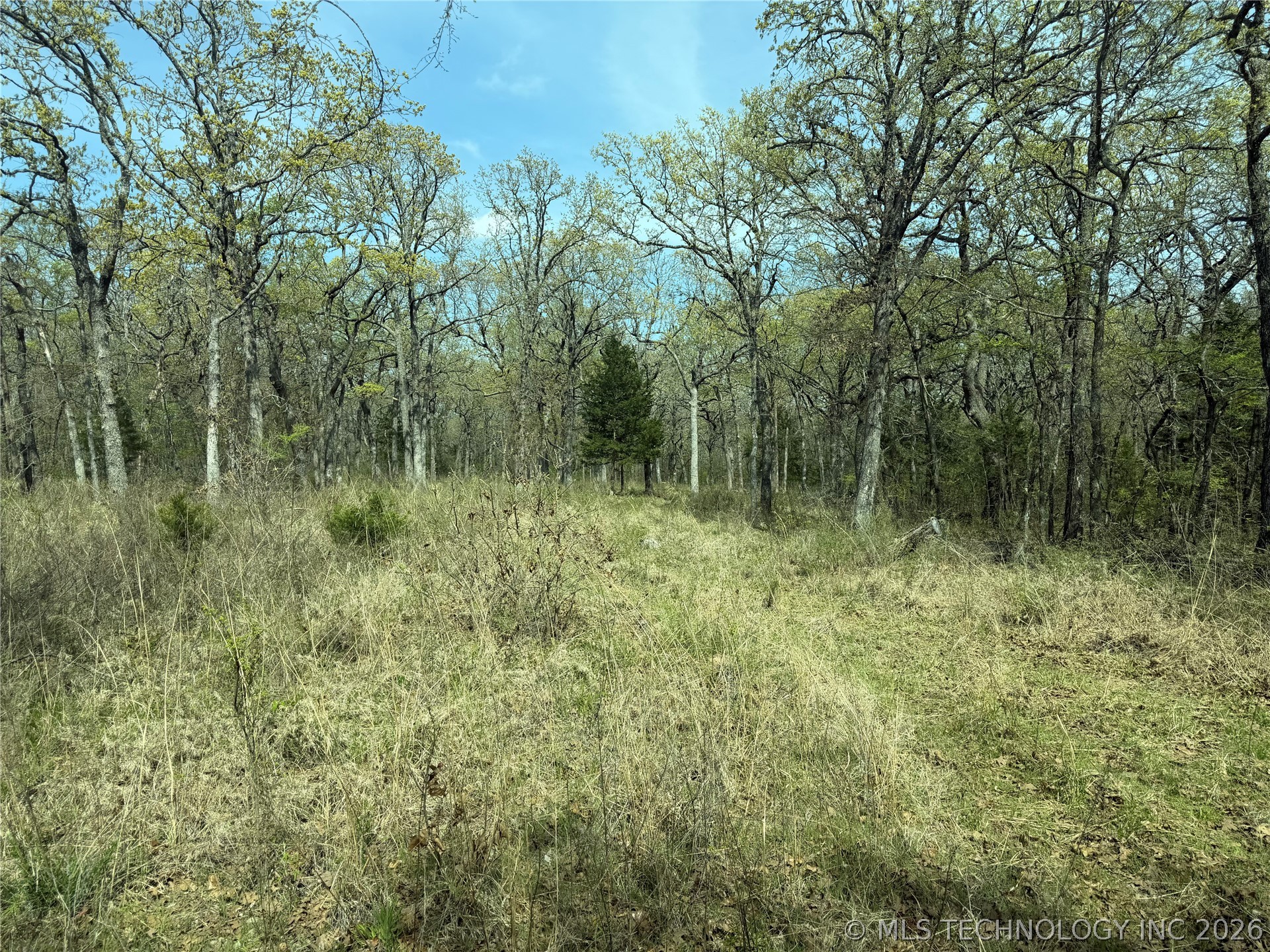 10 County Road 3410 Property Photo 9