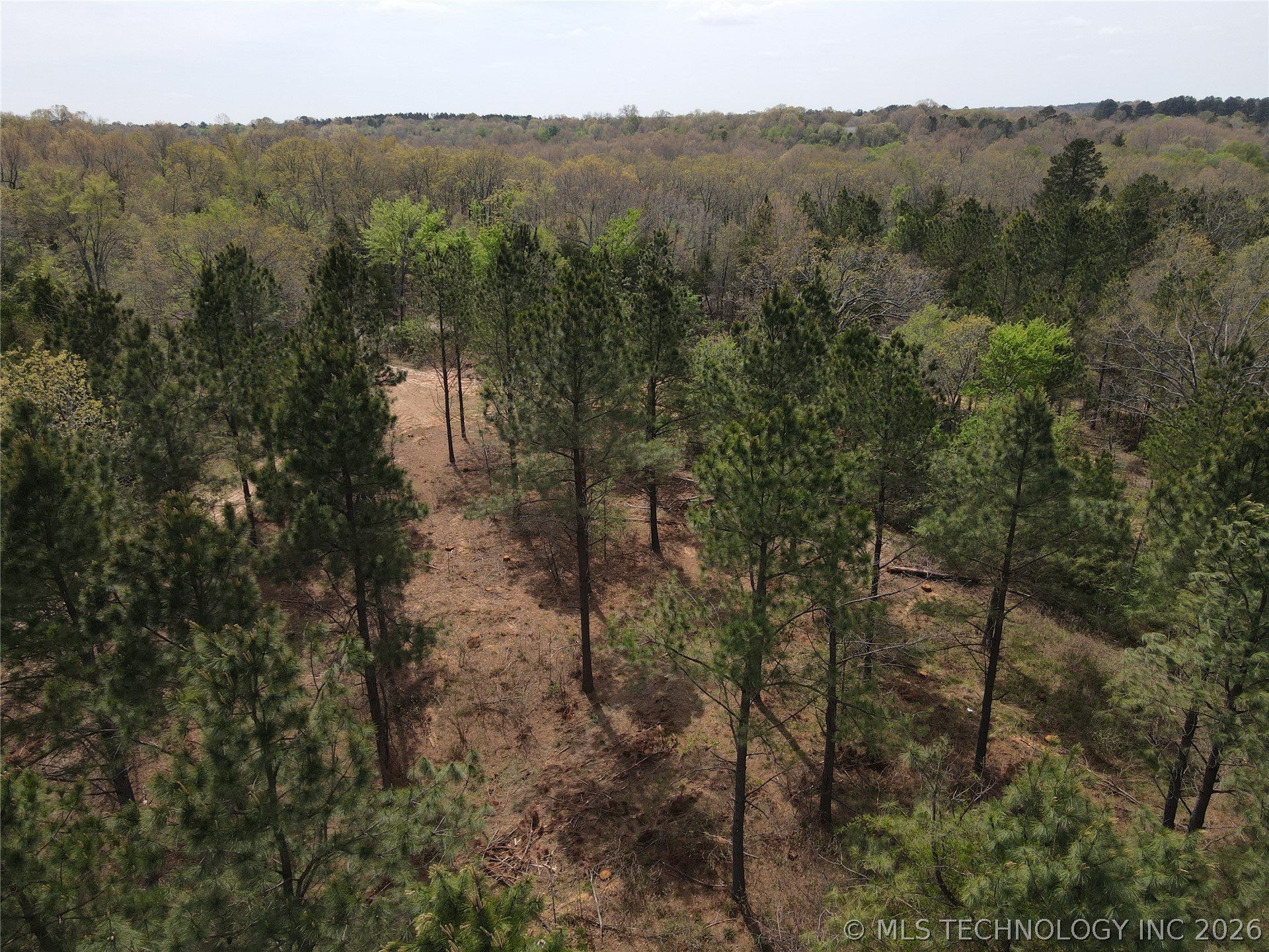 0000 Milam Road Property Photo 4