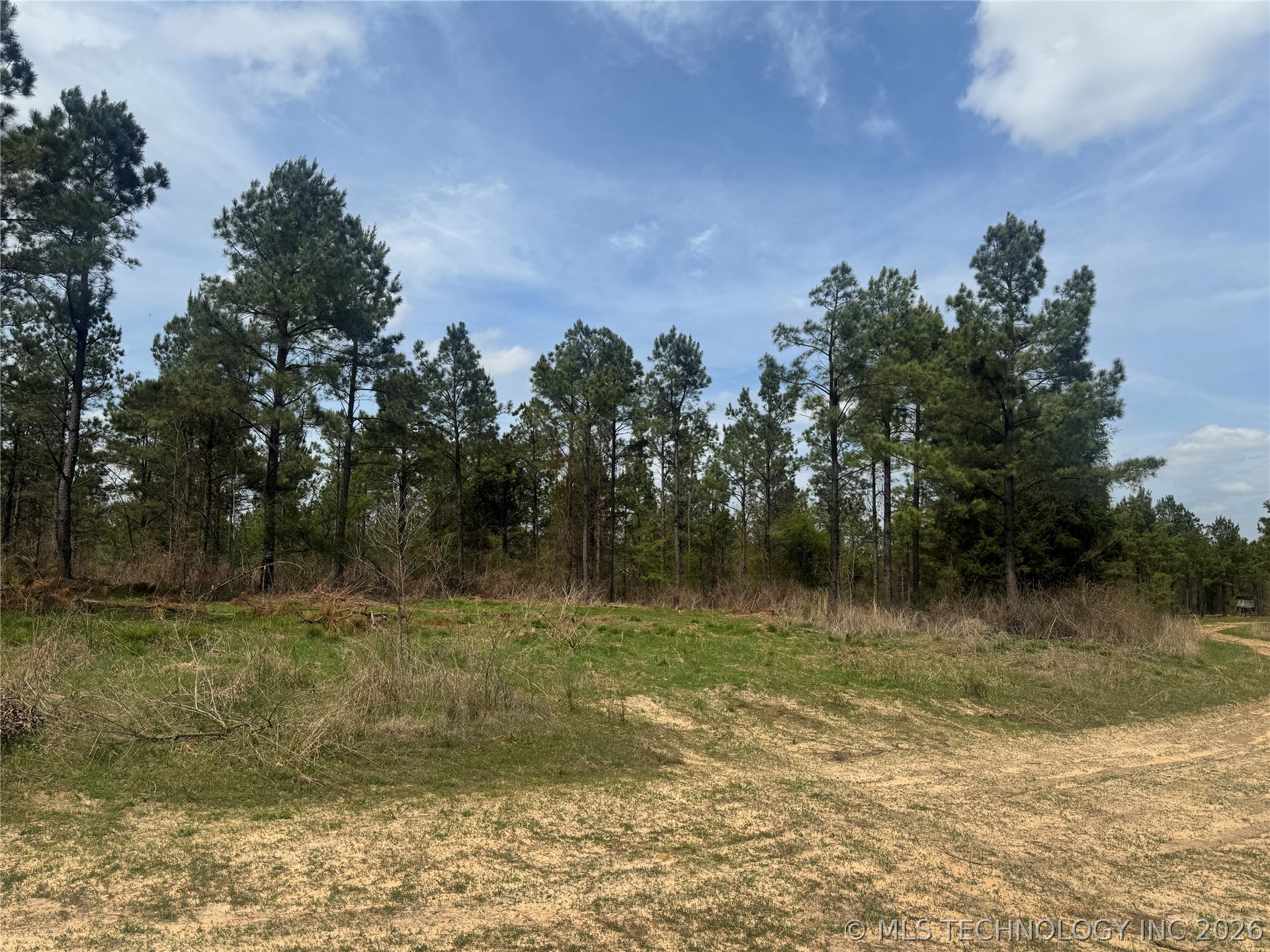 0000 Milam Road Property Photo 5