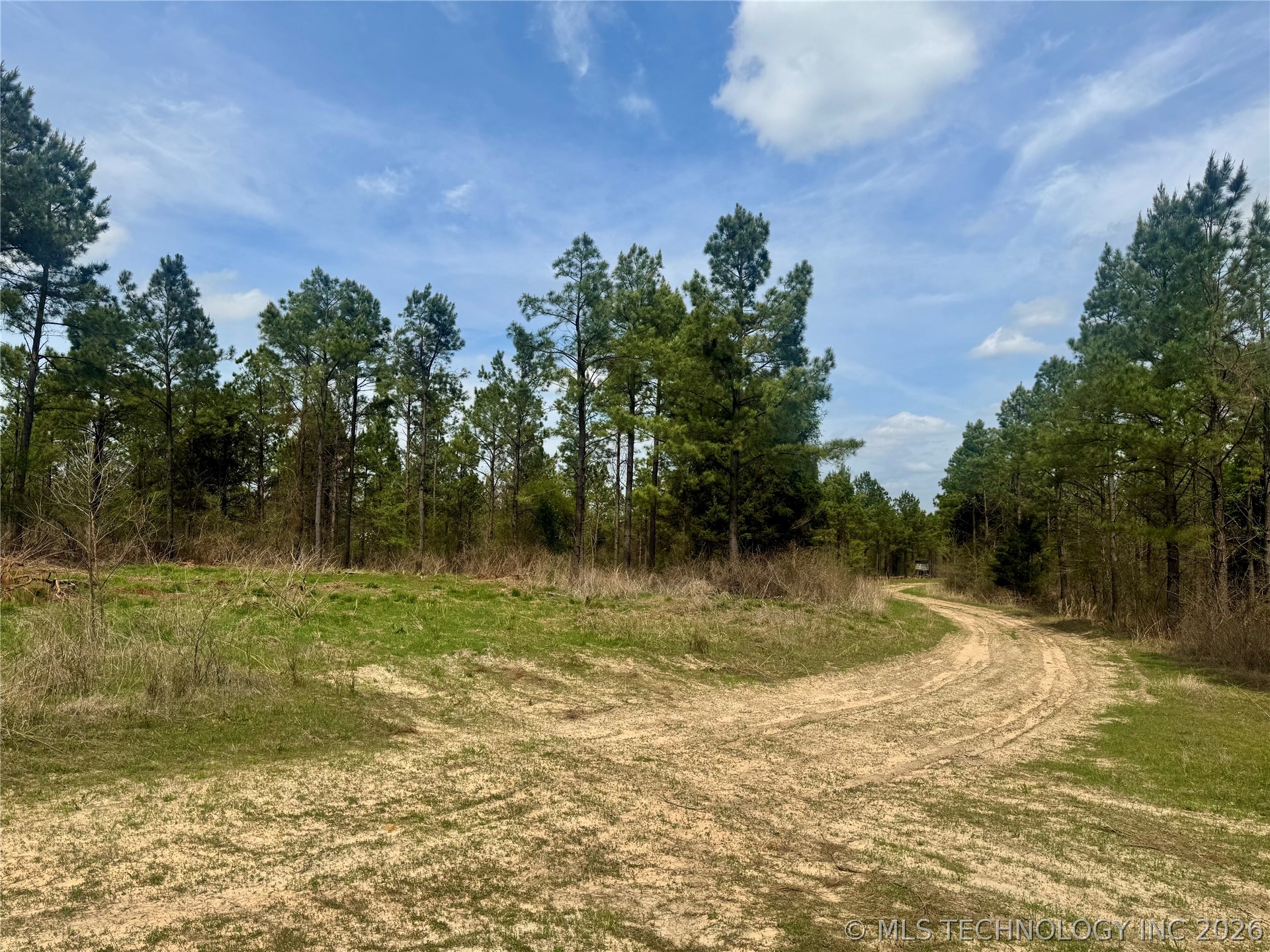 0000 Milam Road Property Photo 6