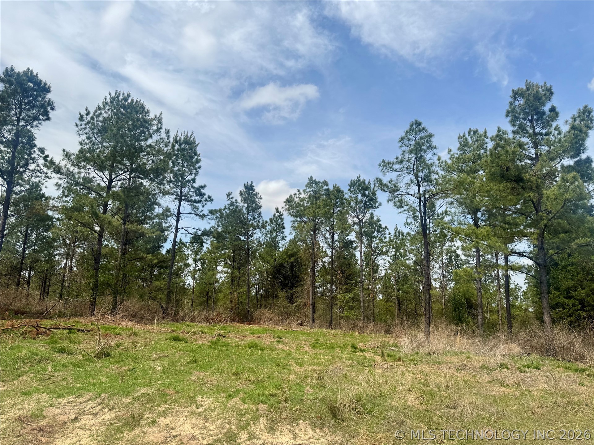 0000 Milam Road Property Photo 7