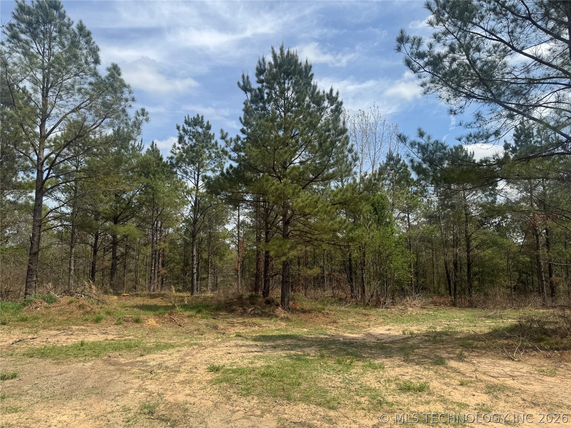 0000 Milam Road Property Photo 11