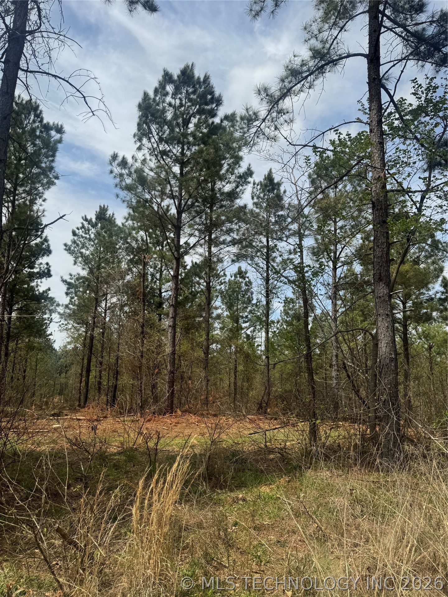 0000 Milam Road Property Photo 13