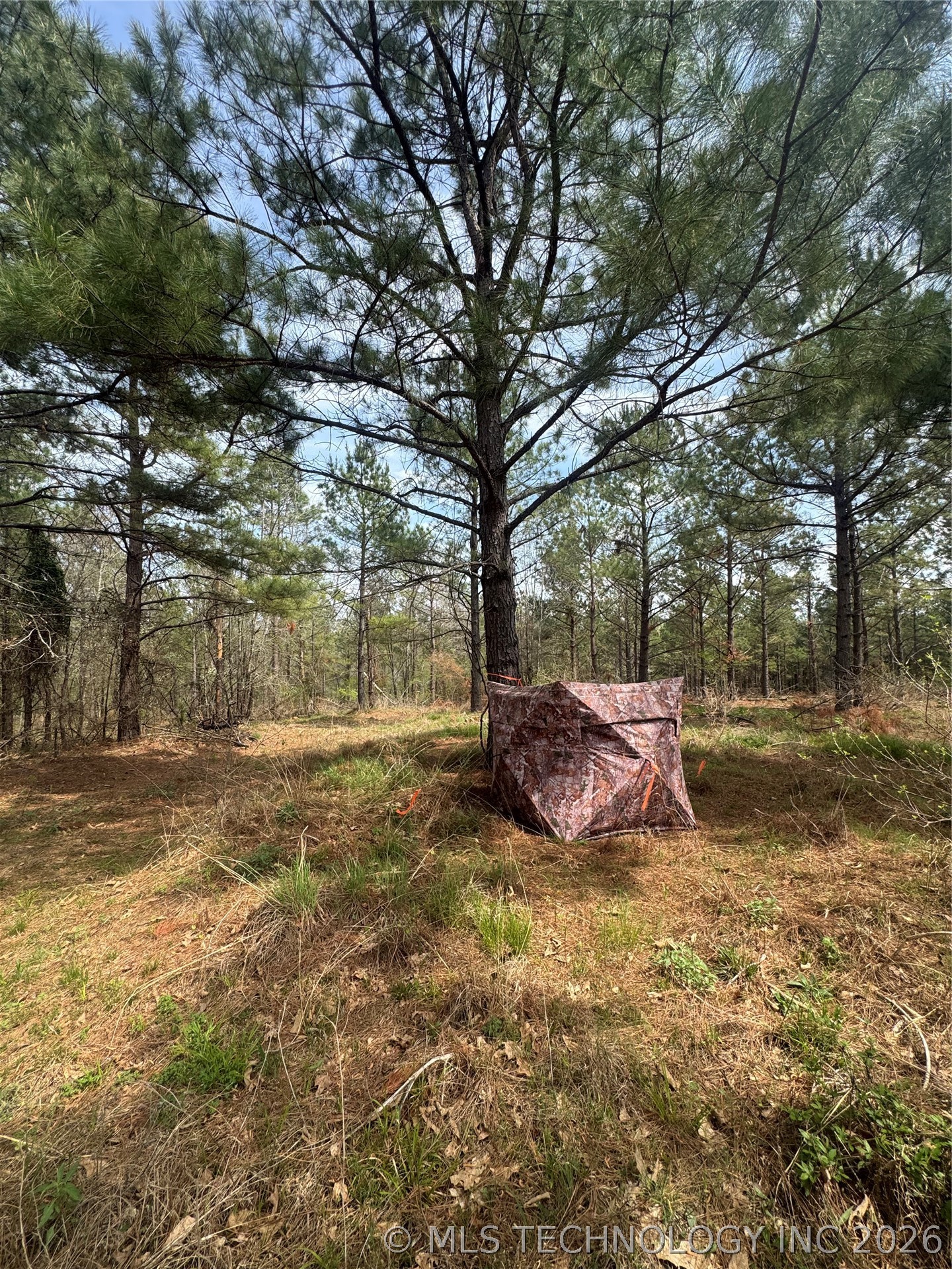 0000 Milam Road Property Photo 14