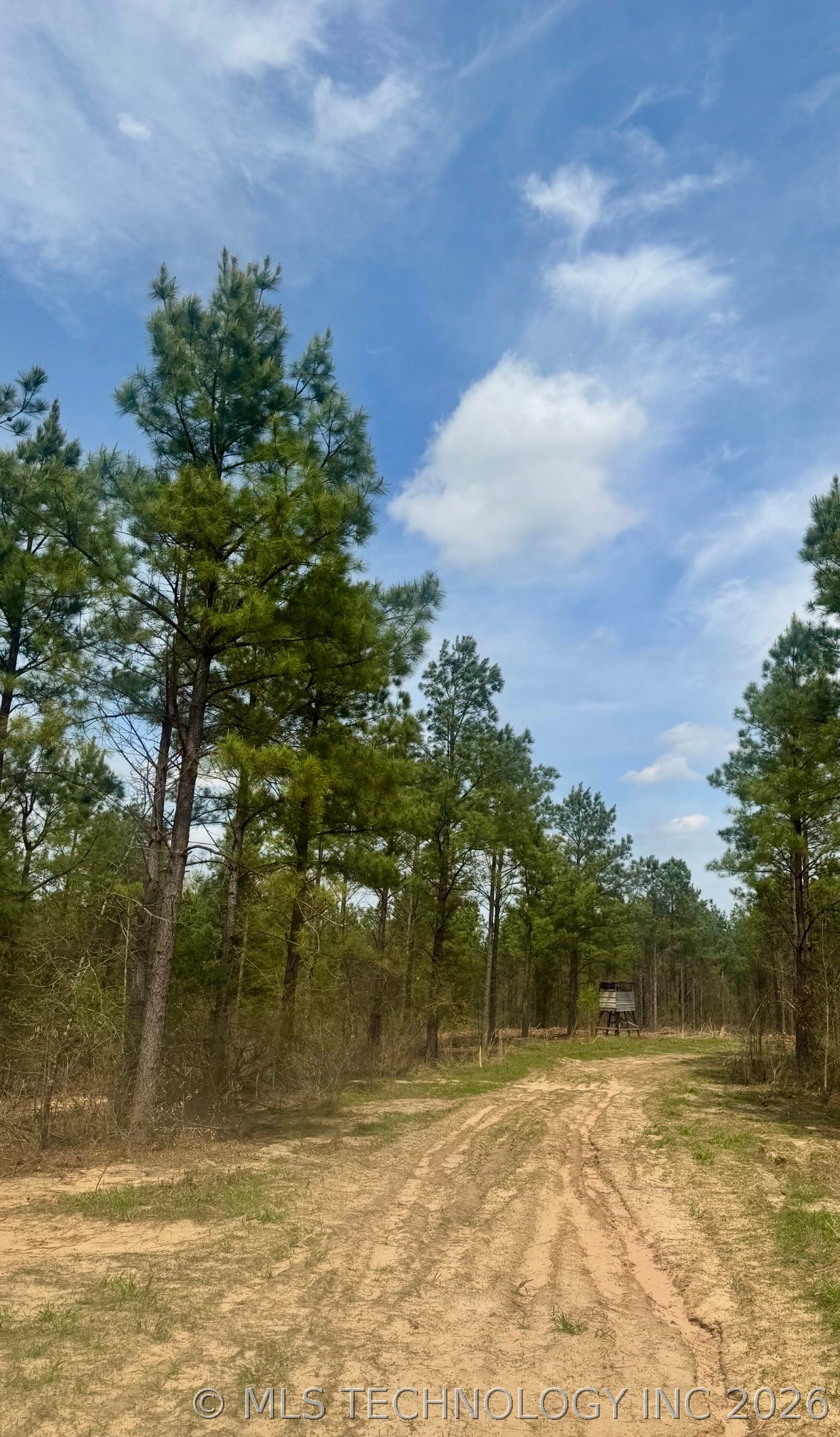 0000 Milam Road Property Photo 16