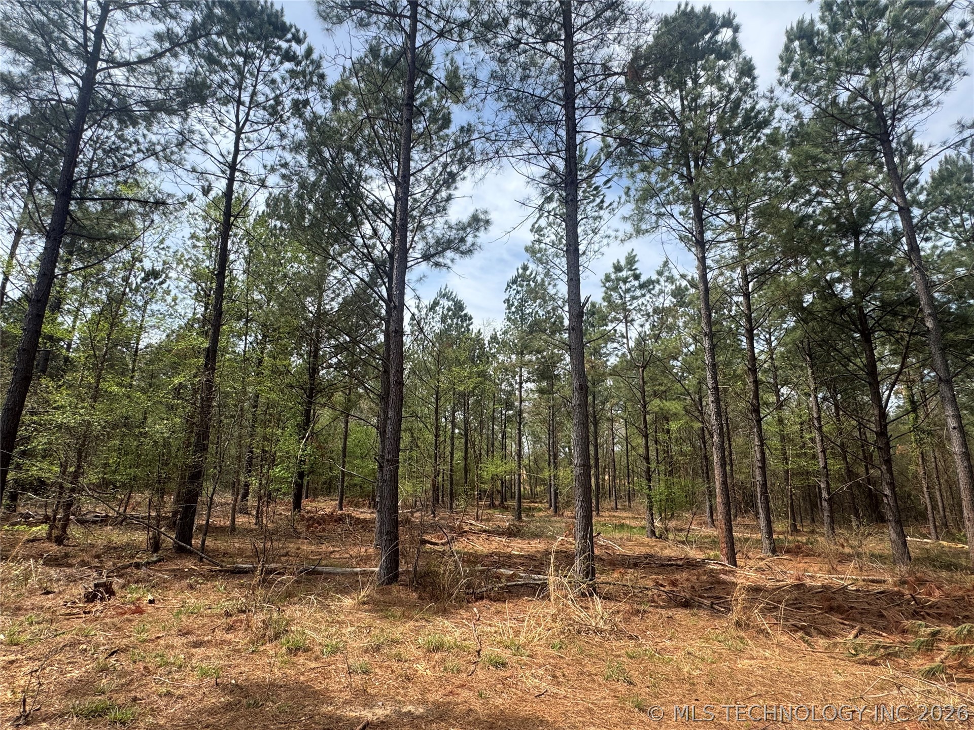 0000 Milam Road Property Photo 22