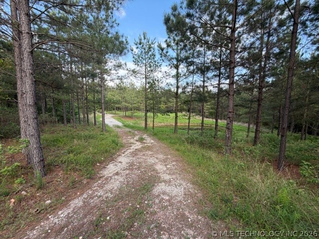 64 Pine Root Court Property Photo 29