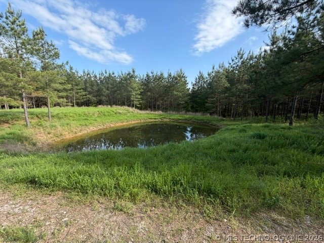 64 Pine Root Court Property Photo 30