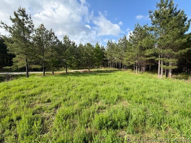 64 Pine Root Court Property Photo 35