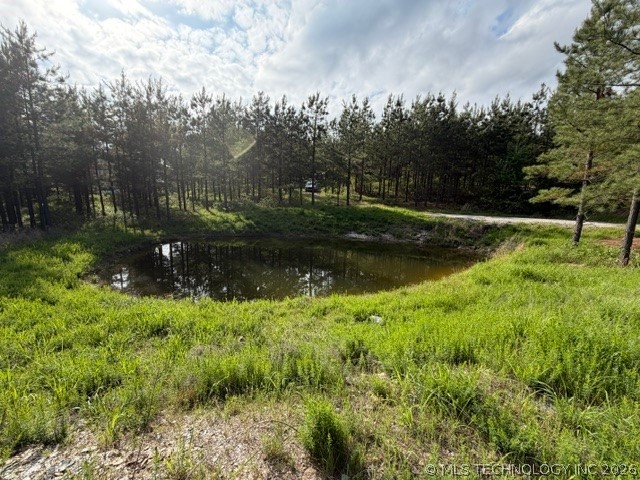 64 Pine Root Court Property Photo 36