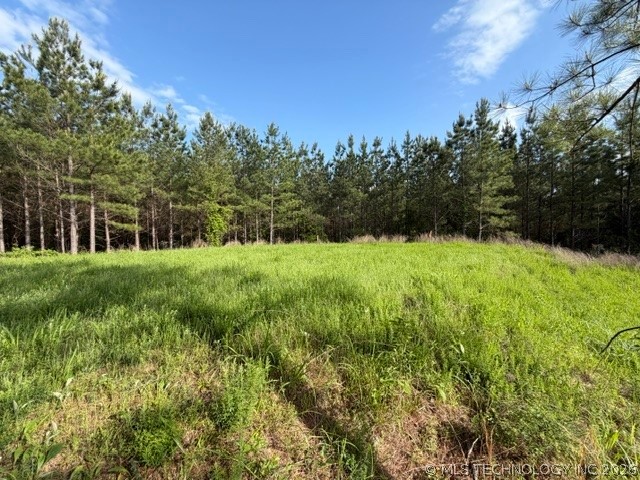 64 Pine Root Court Property Photo 40