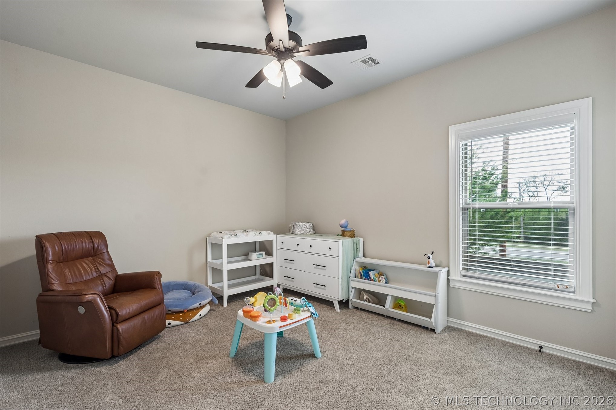 11536 S Primrose Street Property Photo 45