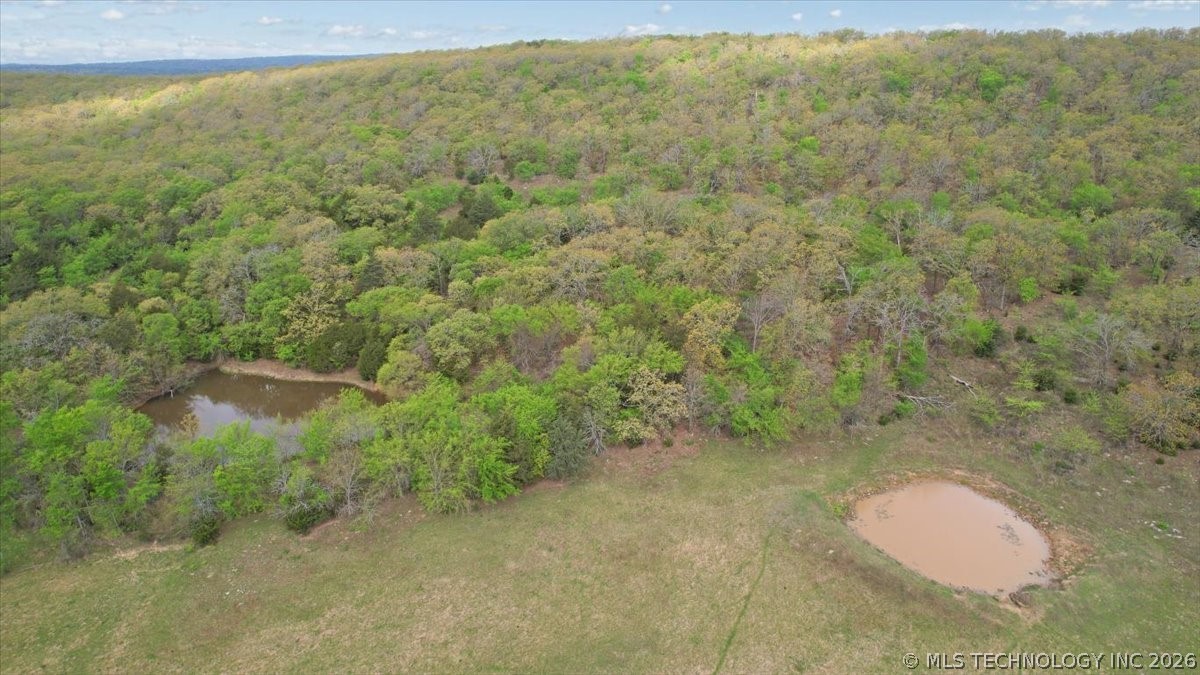 001 E Fred's Fish Camp Road Property Photo 10