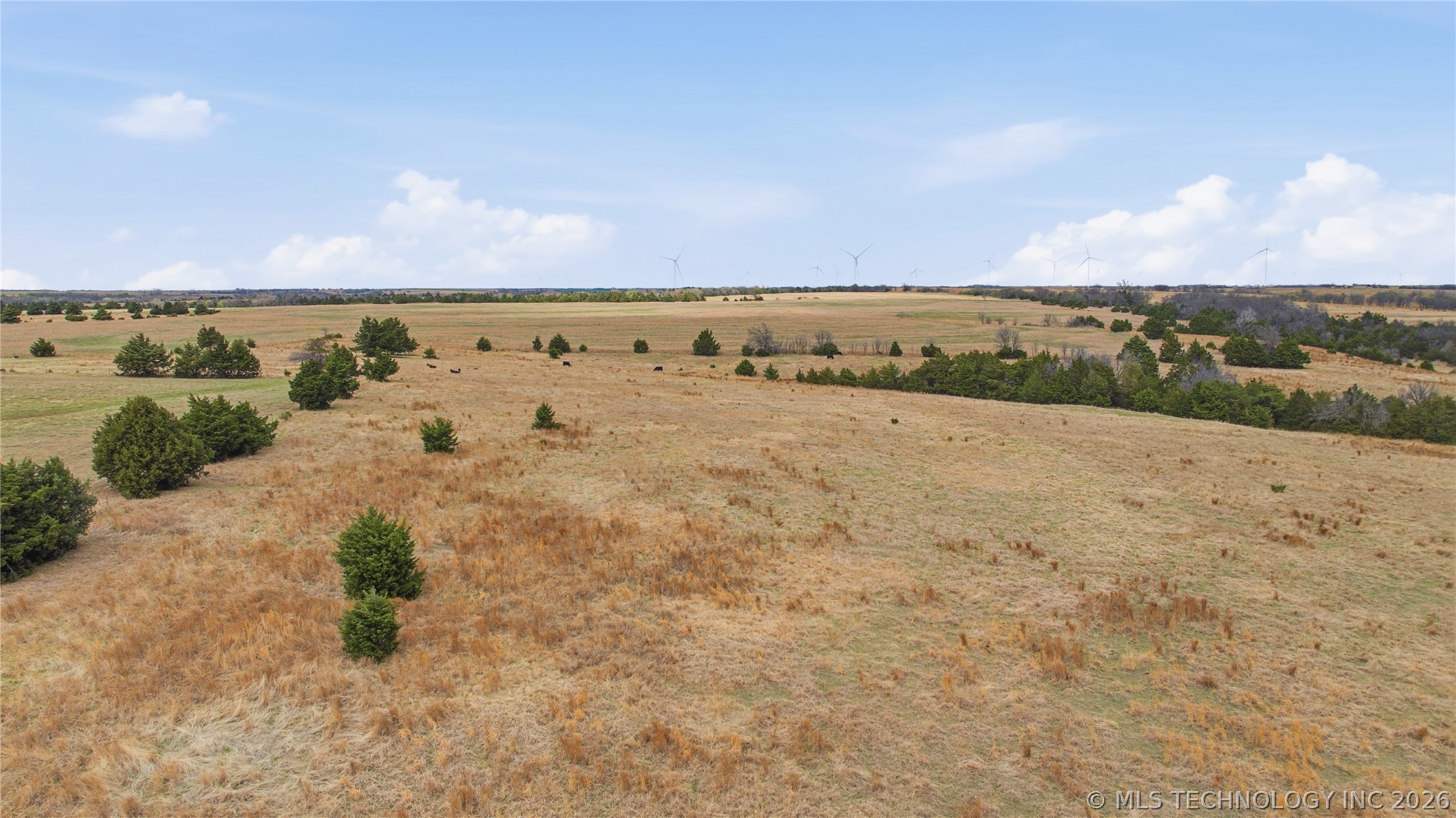 160 W County Road 64 Property Photo 8