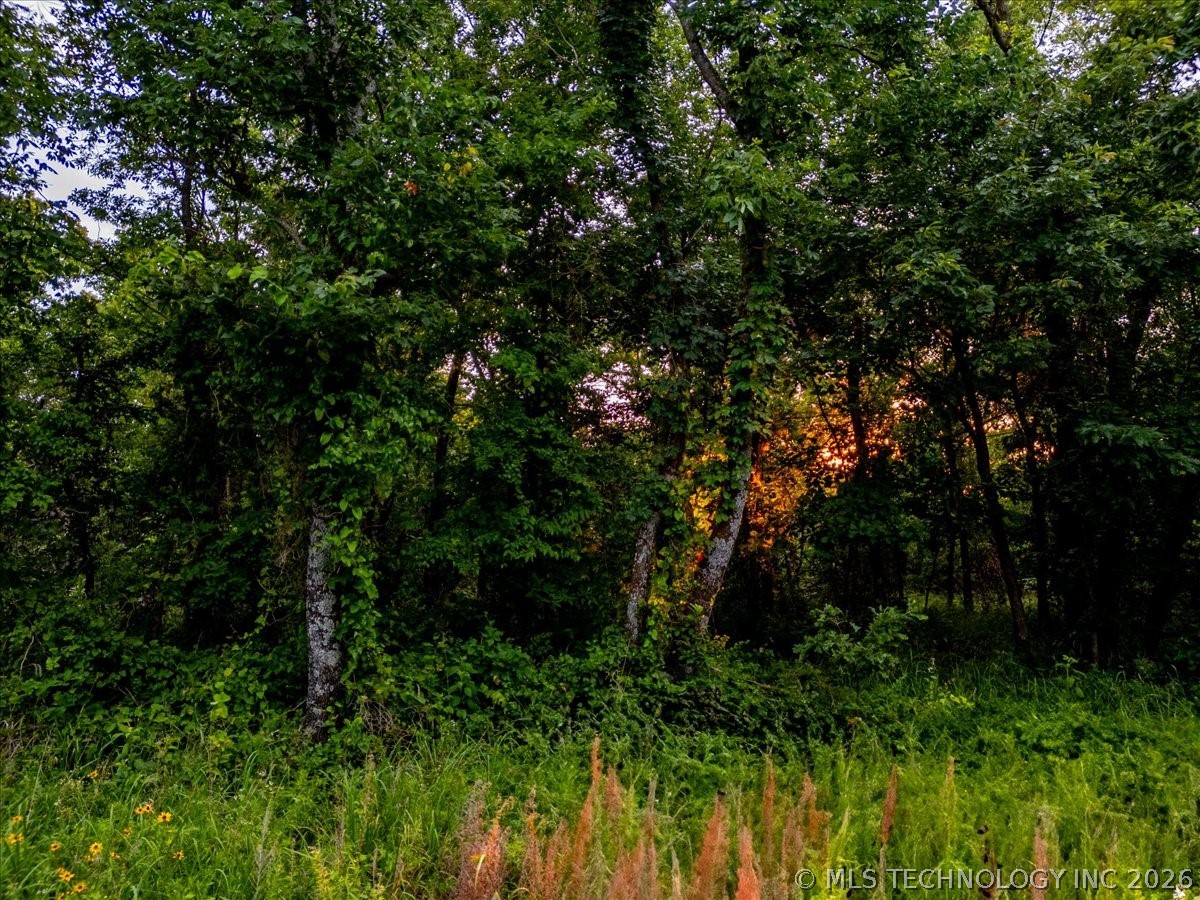 45 E Davis Field Road Property Photo 7