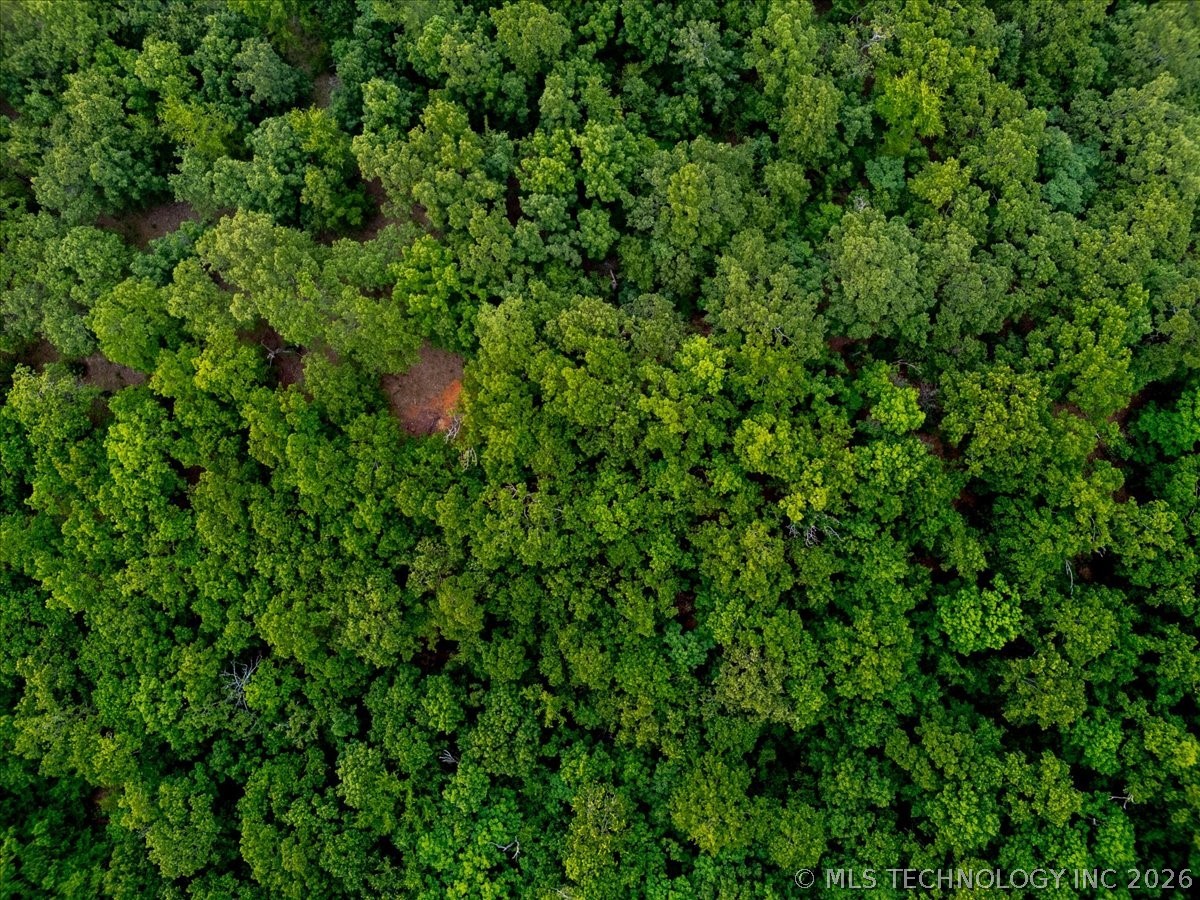 45 E Davis Field Road Property Photo 19
