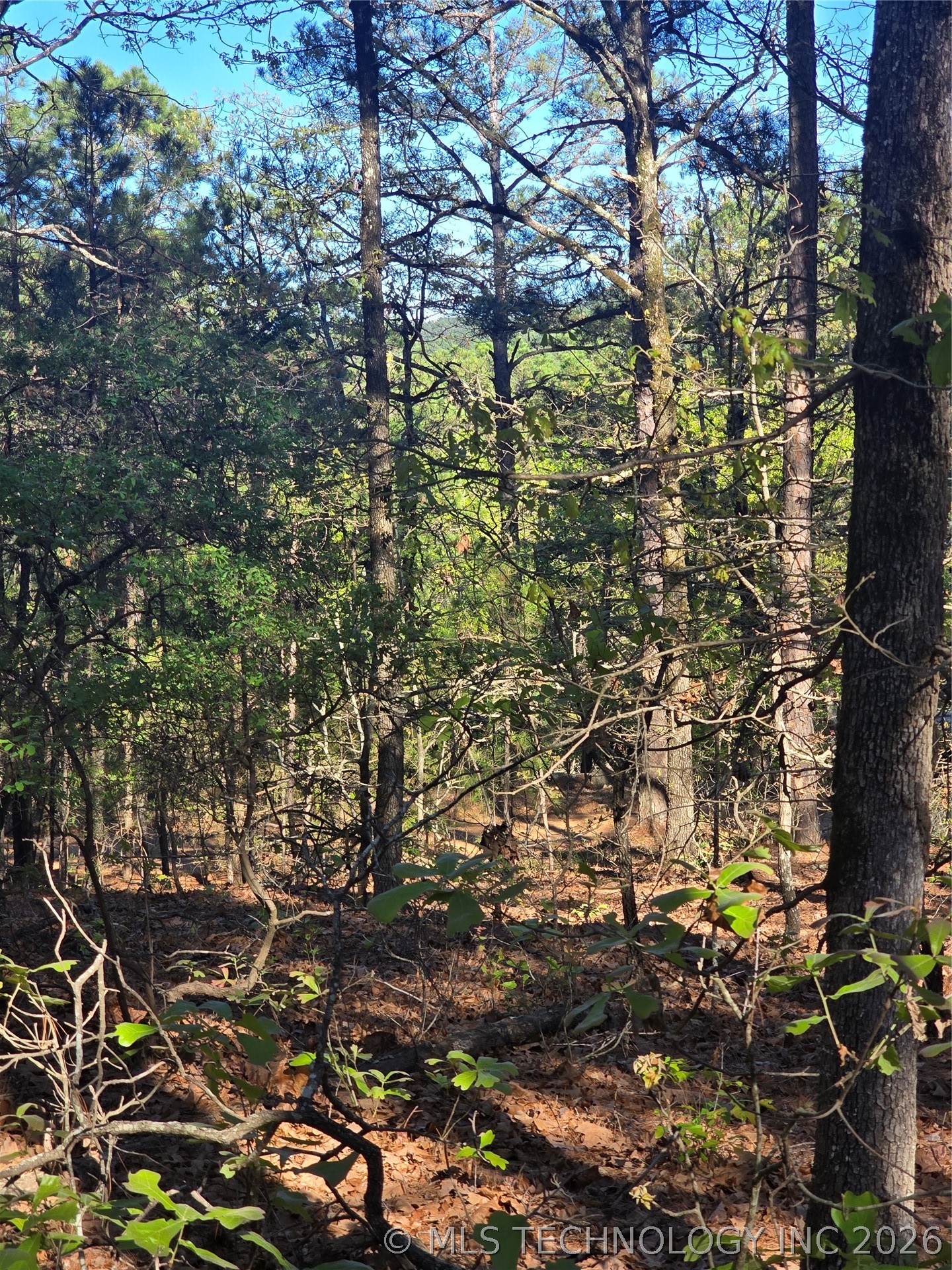 Wolf Trail Property Photo 1