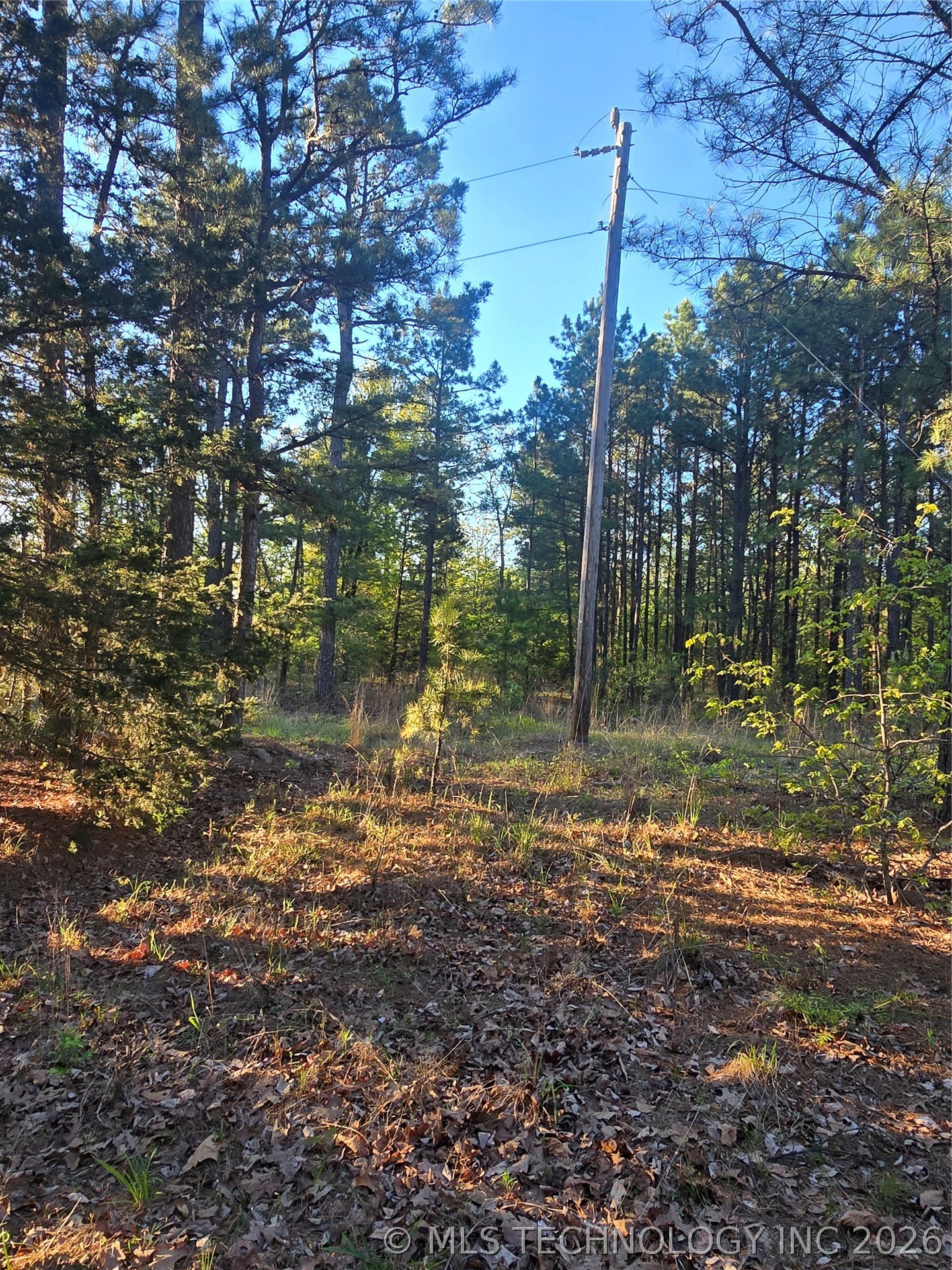 77 Ne Little Flat Top Property Photo 1