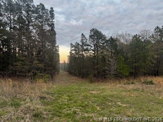 Norris Road Property Photo 5