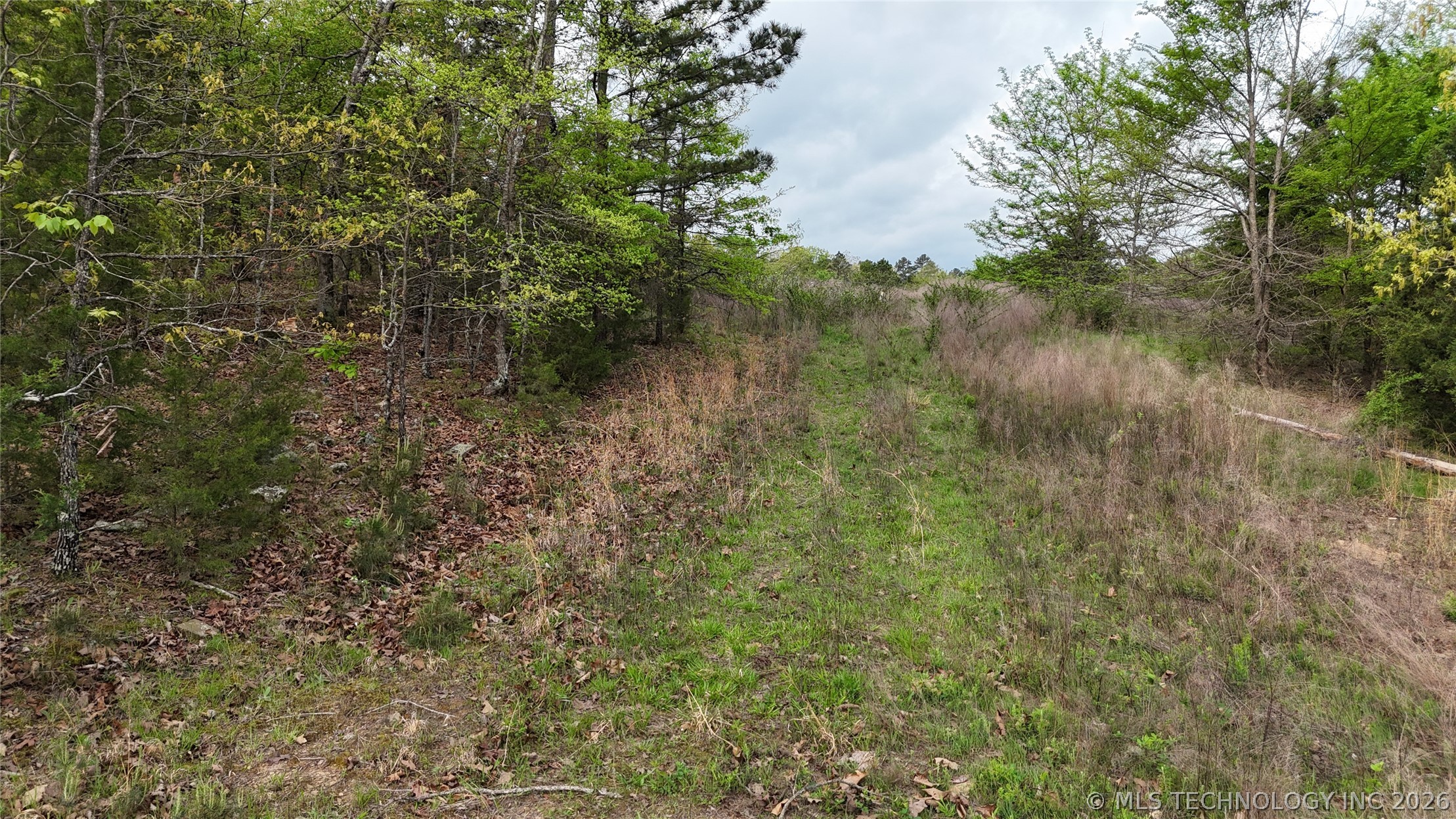 Norris Road Property Photo 13