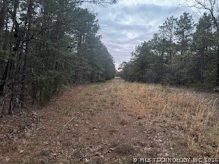 Norris Road Property Photo 16