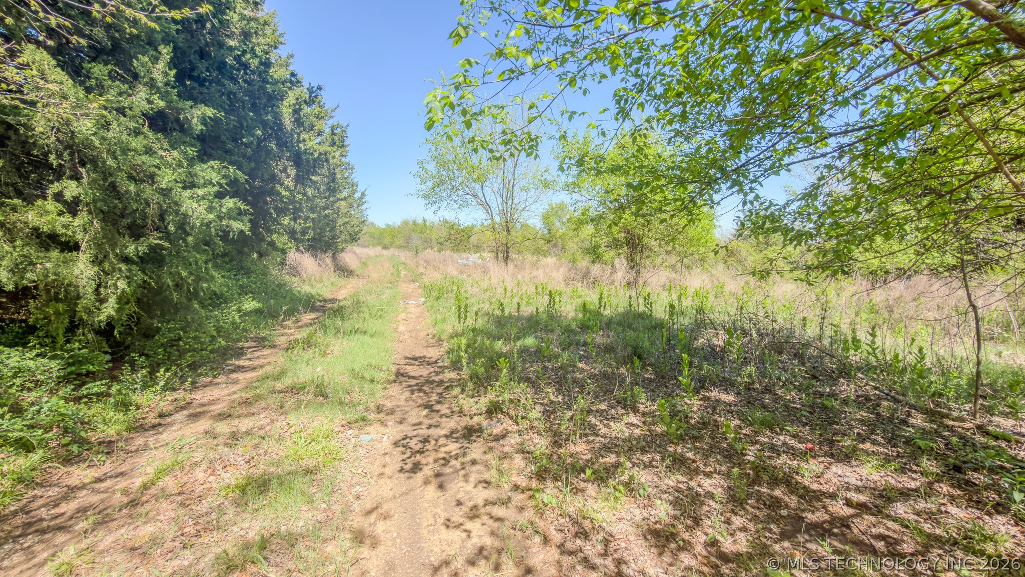 20002 County Road 1505 Property Photo 4